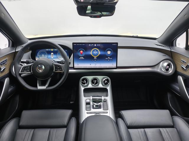 Denza 2021 imagem de carro #10