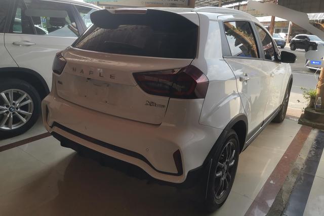 睿蓝汽车 睿蓝汽车X3 PRO 2022 汽车图片 #10