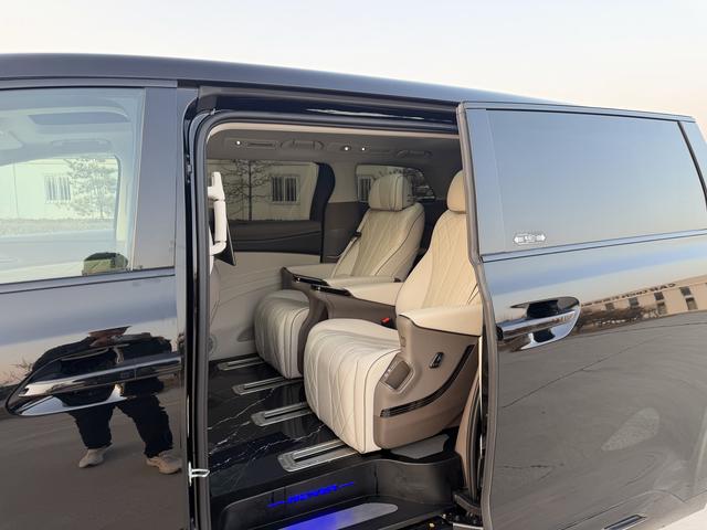 Denza D9 2023 imagem de carro #10