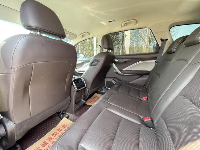 睿蓝汽车 枫叶80v 2020 汽车图片 #10