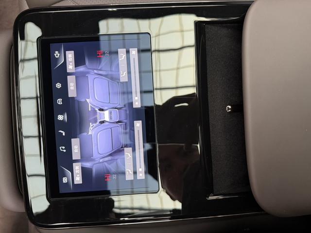 Denza 2024 imagem de carro #10