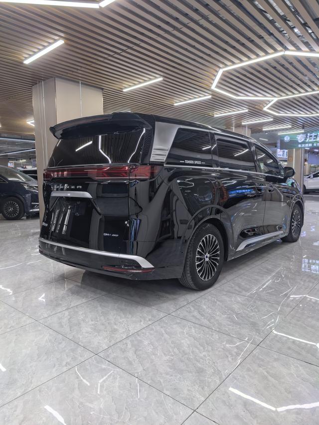 Denza D9 2023 imagen de coche #10