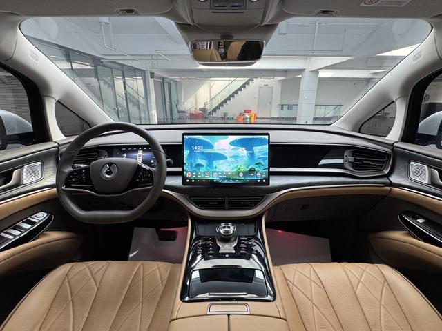 Denza D9 2023 image de voiture #10