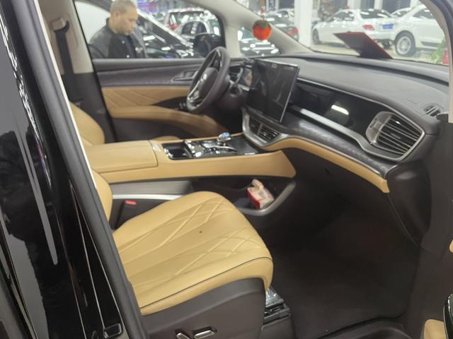 Denza D9 2025 imagem de carro #10