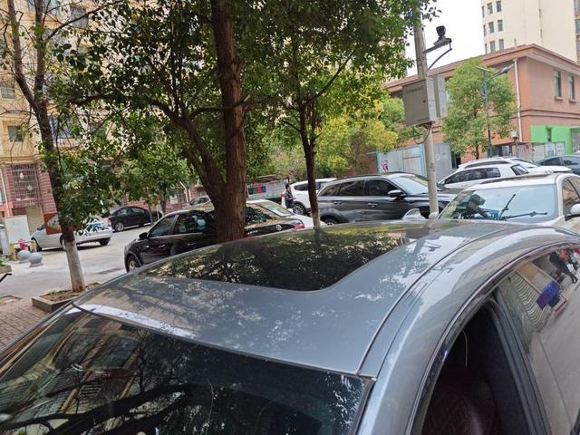 BMW 6 Series GT 2018 изображение автомобиля #10