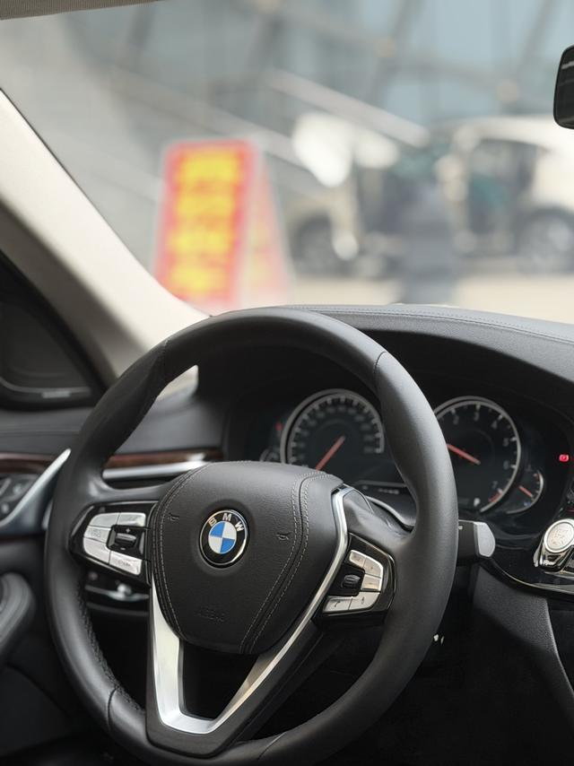 BMW 5 Series 2018 car image #10