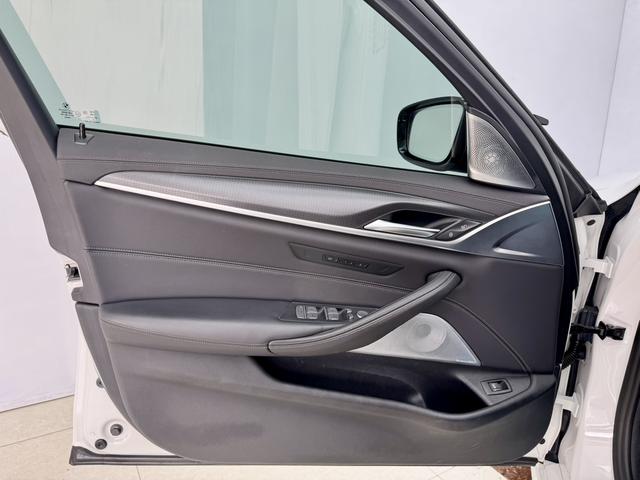 BMW 5 Series (Imported) 2020 car image #10