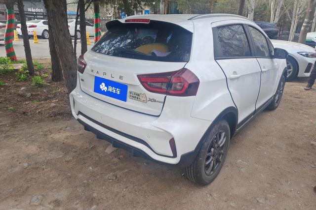 睿蓝汽车 睿蓝汽车X3 PRO 2022 汽车图片 #10