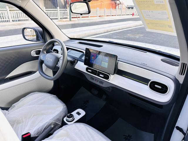 睿蓝汽车 睿蓝蓝精灵 2026 汽车图片 #10