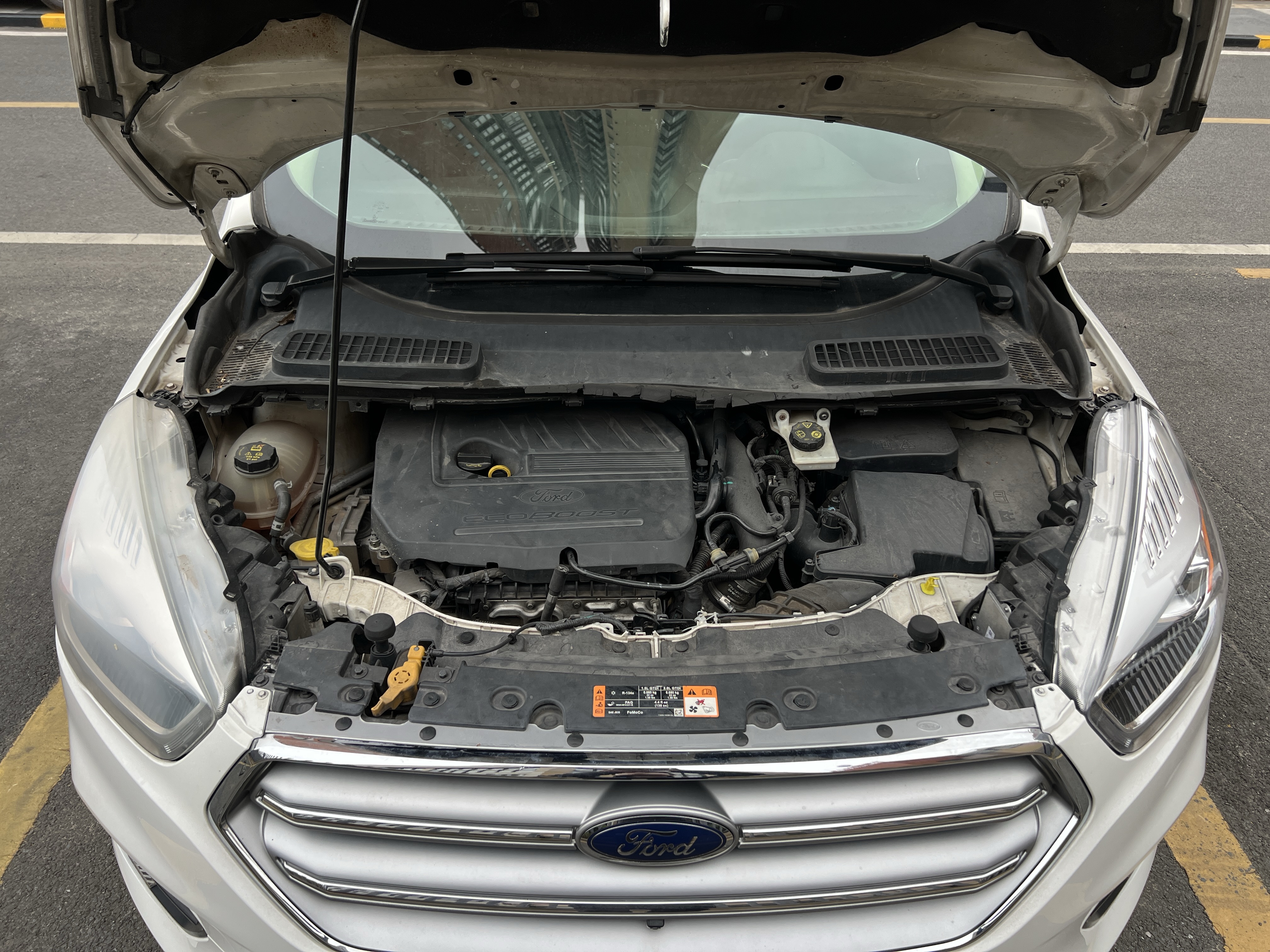 Ford Kuga 2017 car image #10