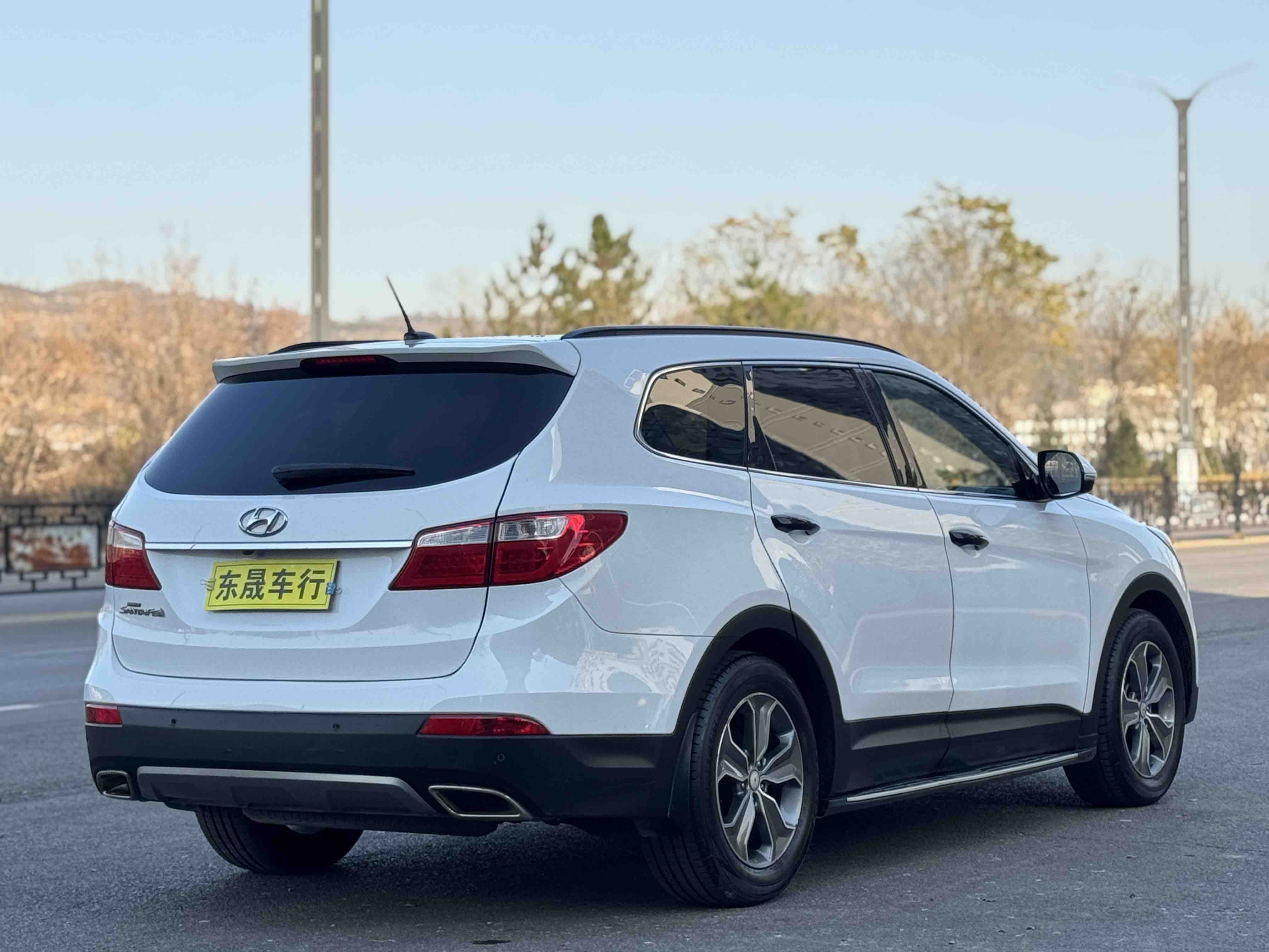 Hyundai Grand Santa Fe 2016 car image #10