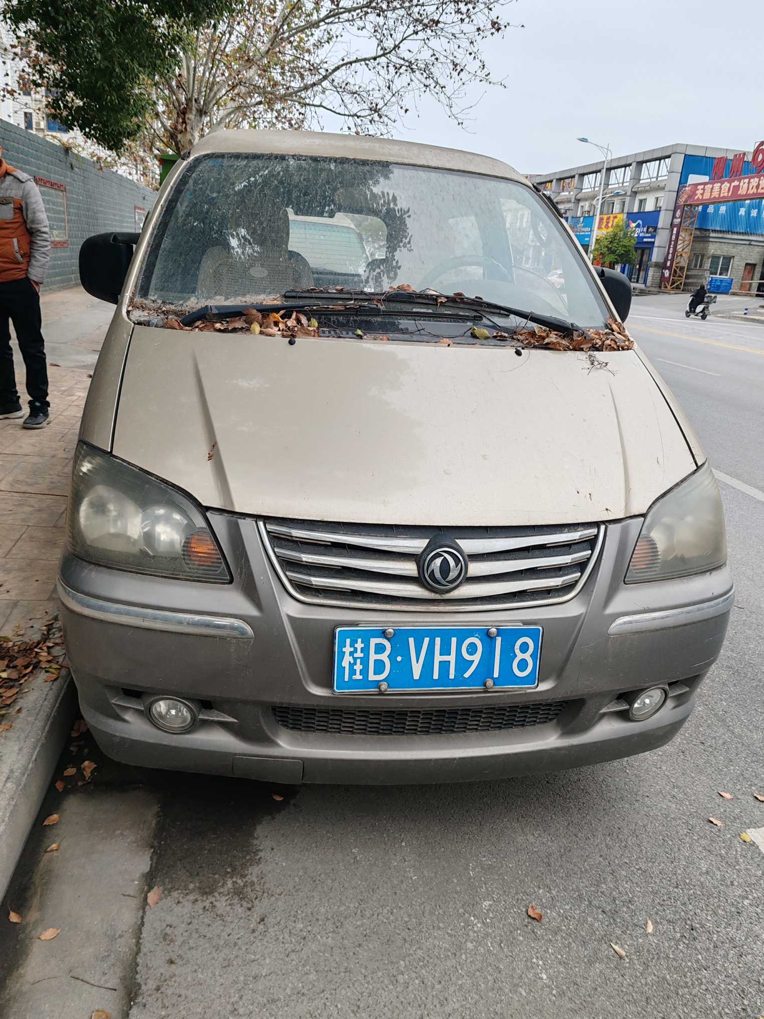 Forthing Lingzhi 2013 #10 Forthing Lingzhi 2013 imagem de carro #10