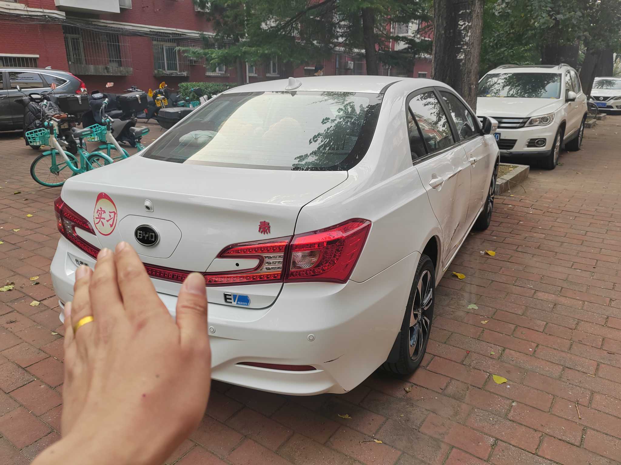 BYD Qin New Energy 2016 car image #10