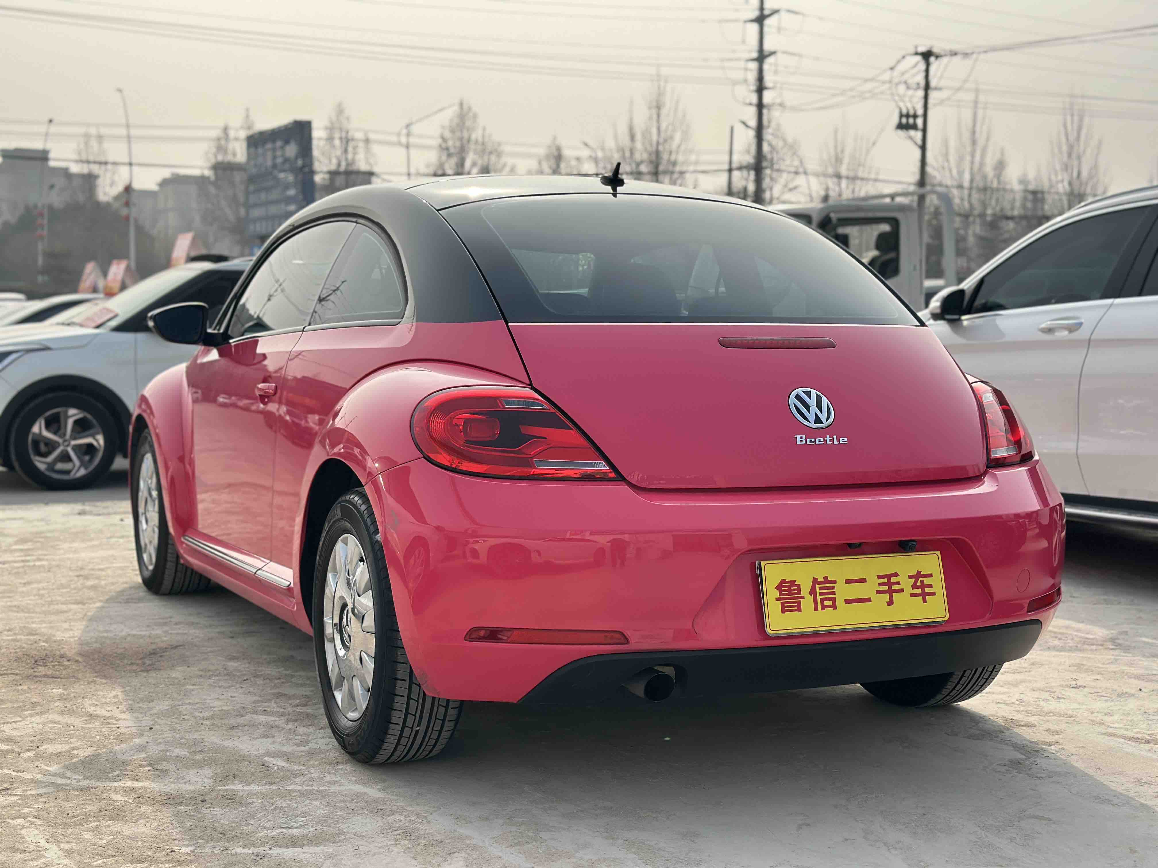 Volkswagen Beetle 2014 immagine di auto #10