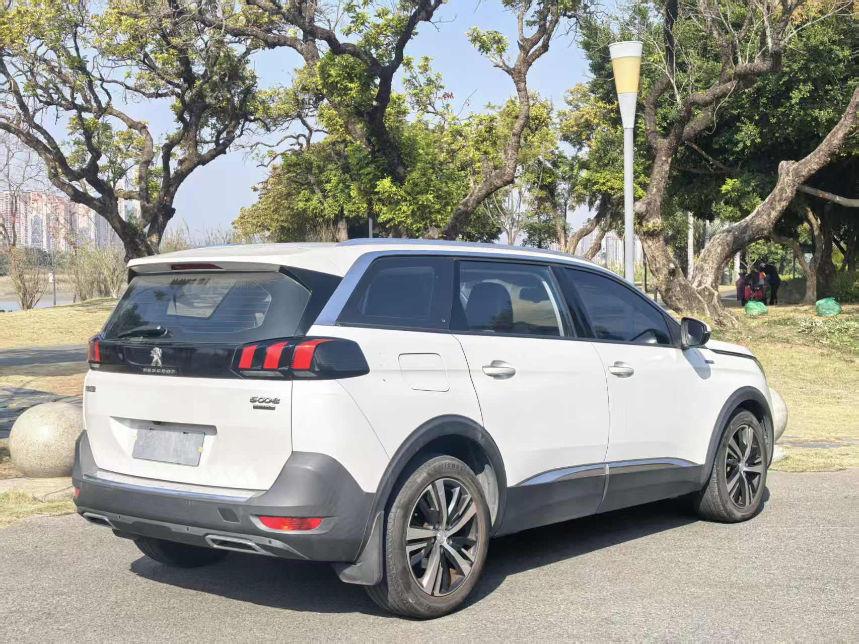 Peugeot 5008 2018 car image #10