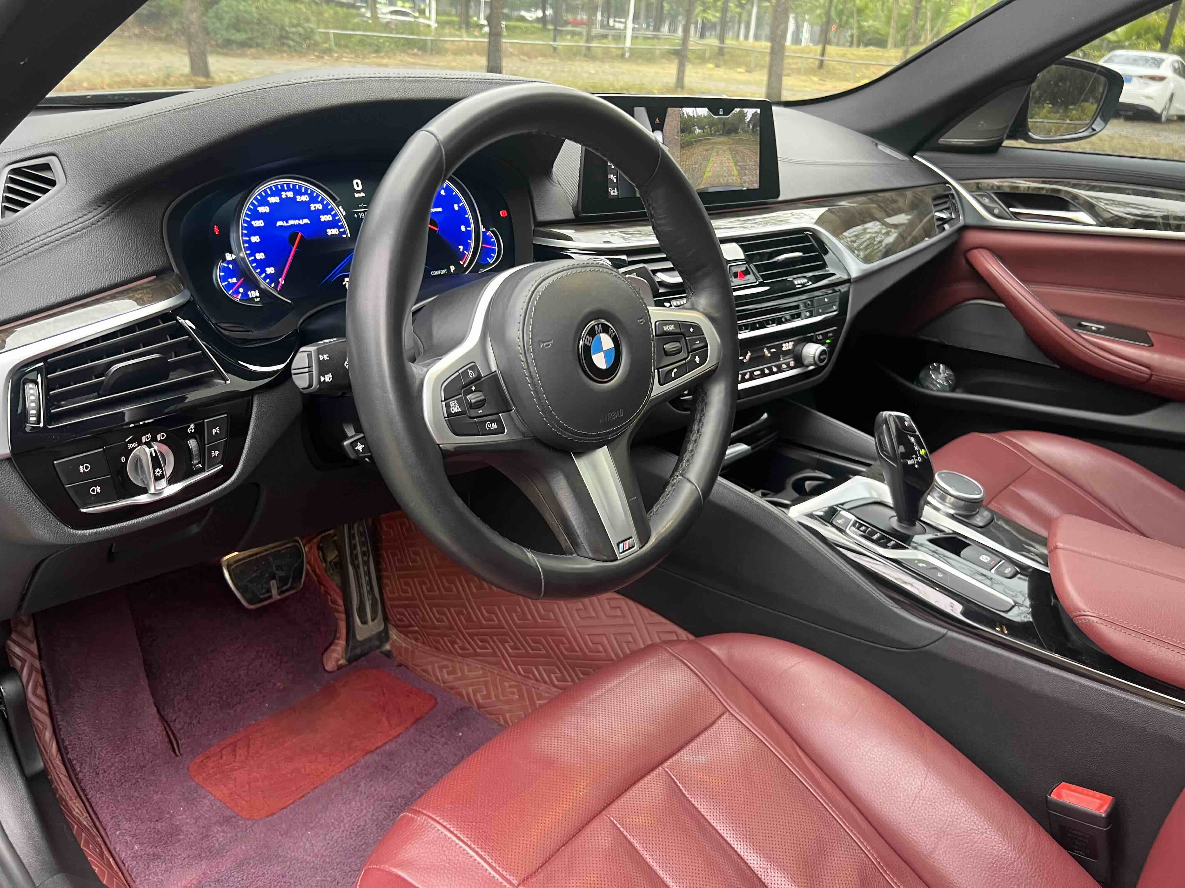 BMW 5 Series 2017 car image #10