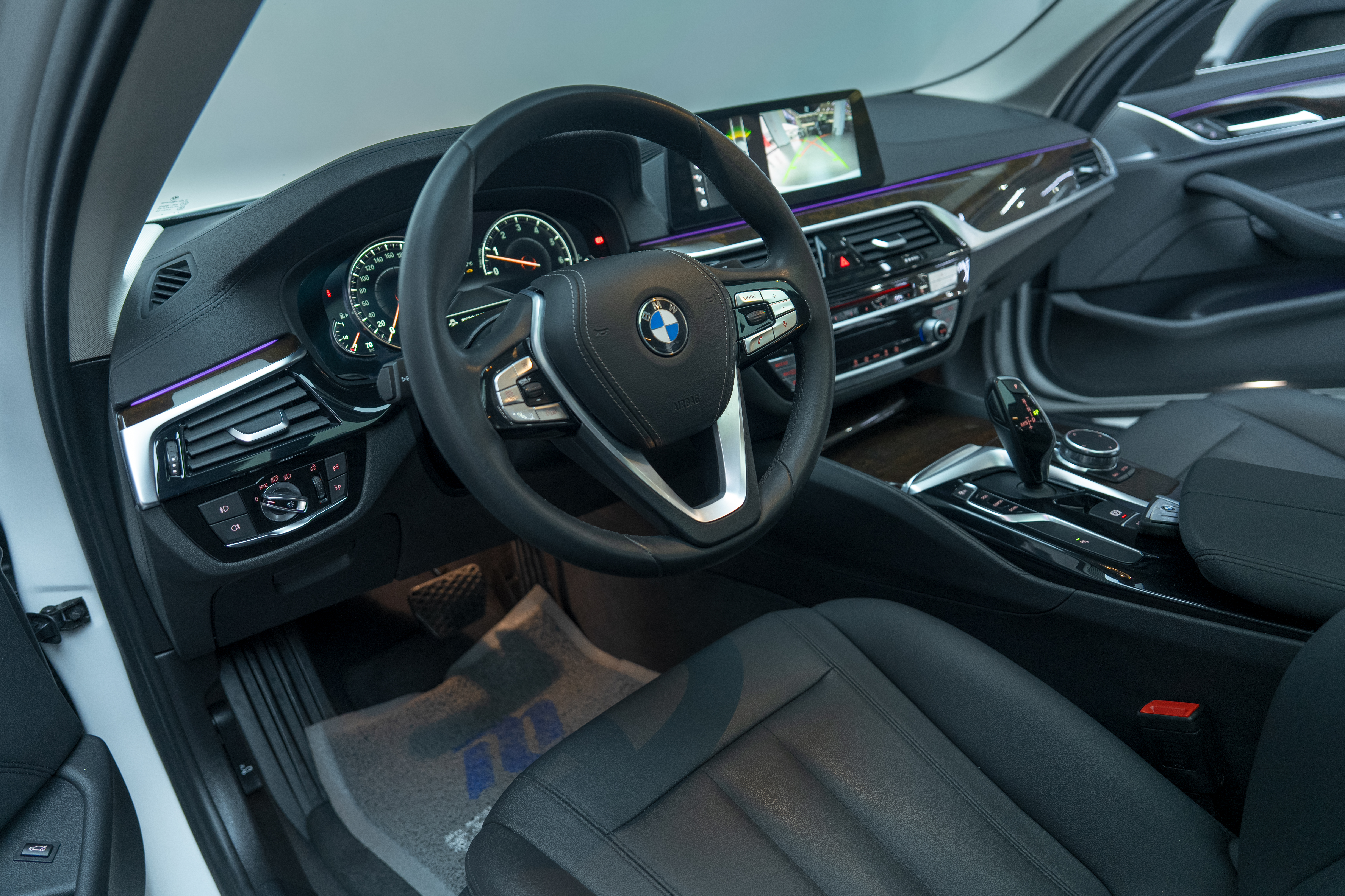 BMW 5 Series 2018 car image #10