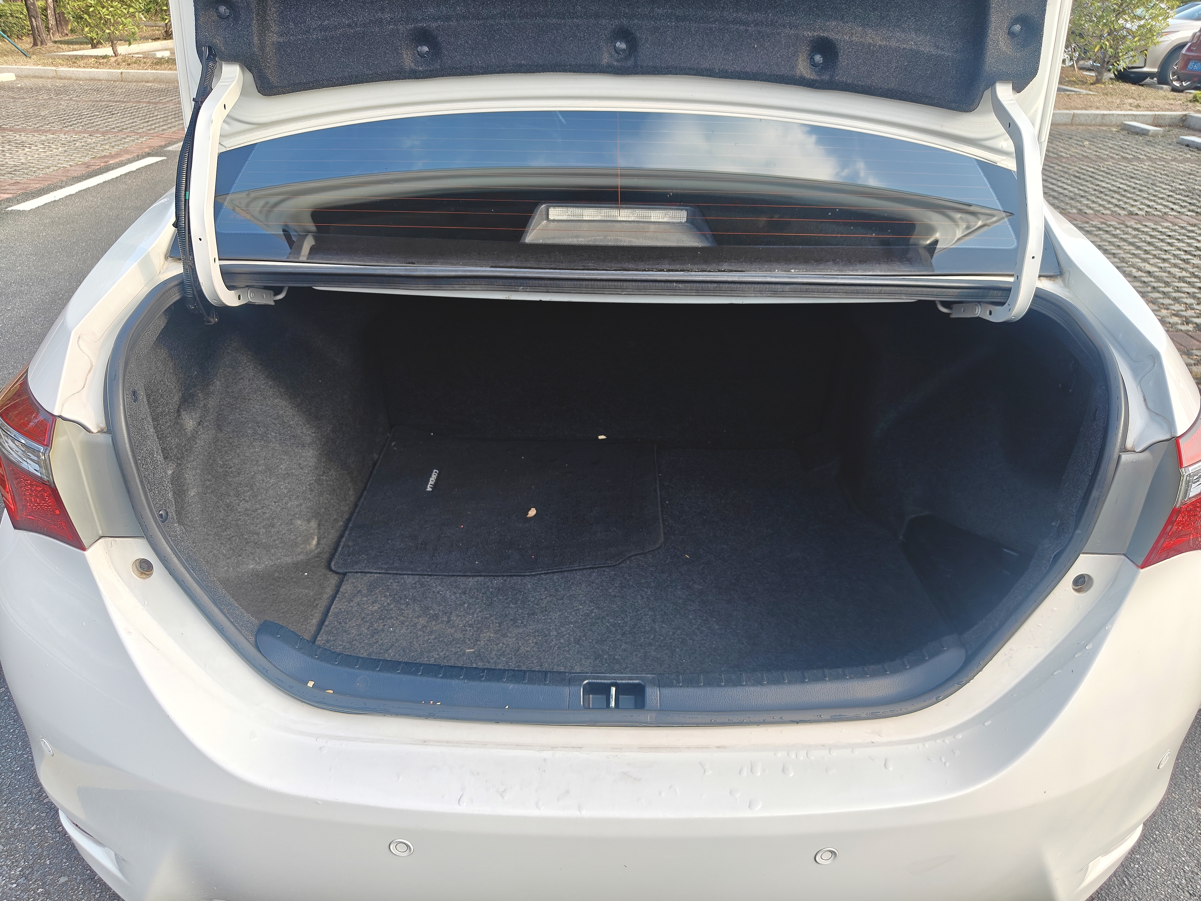 Toyota Corolla 2019 #10 Toyota Corolla 2019 car image #10