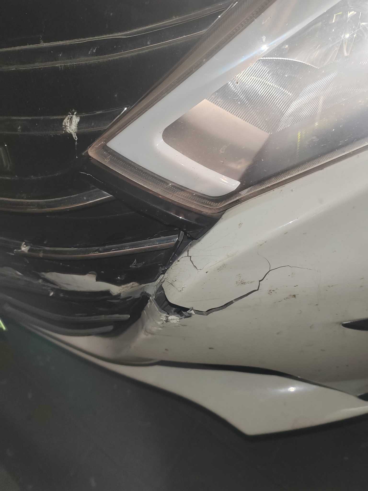 BYD Qin New Energy 2018 car image #10