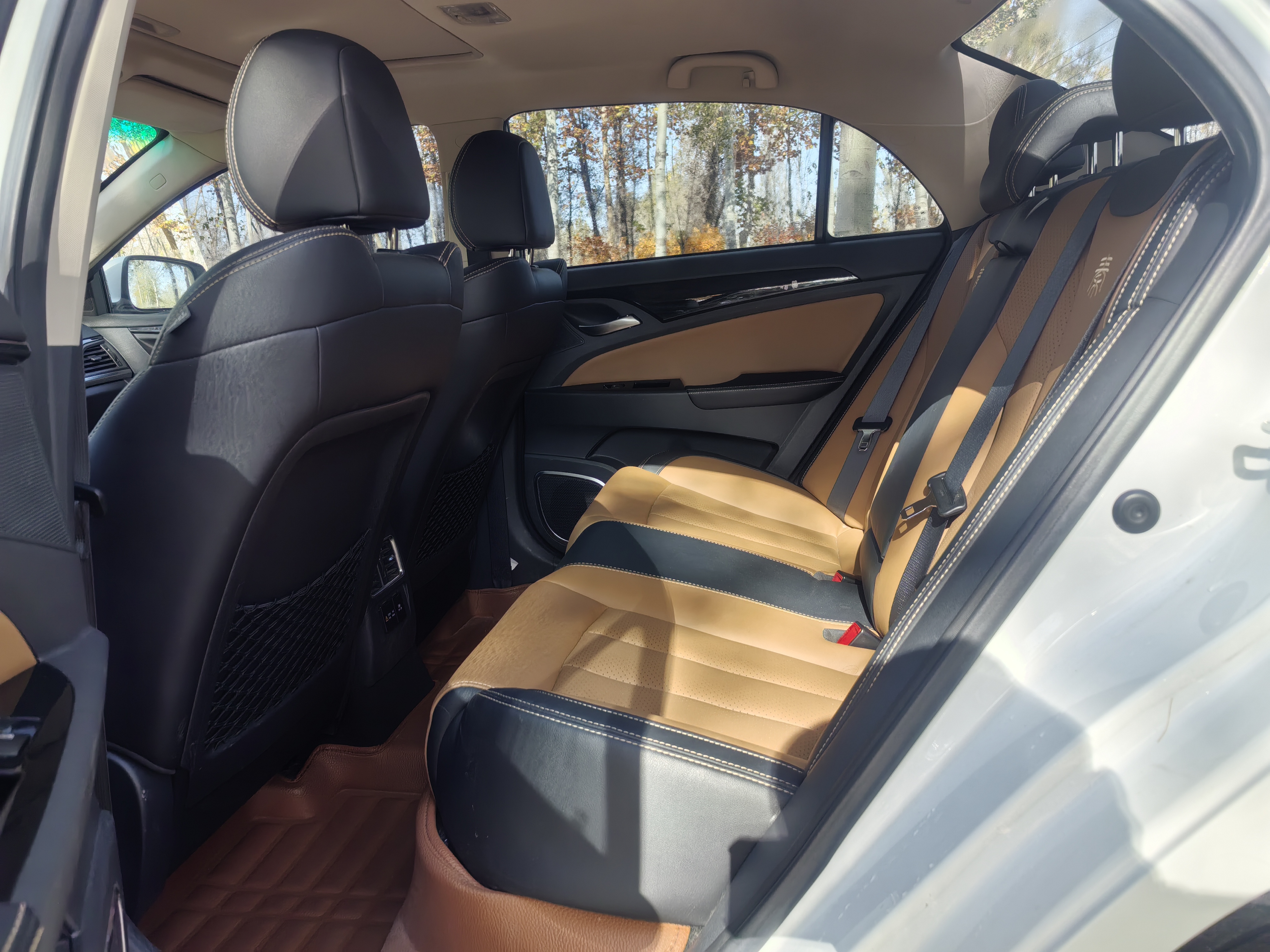 BYD Qin New Energy 2018 car image #10