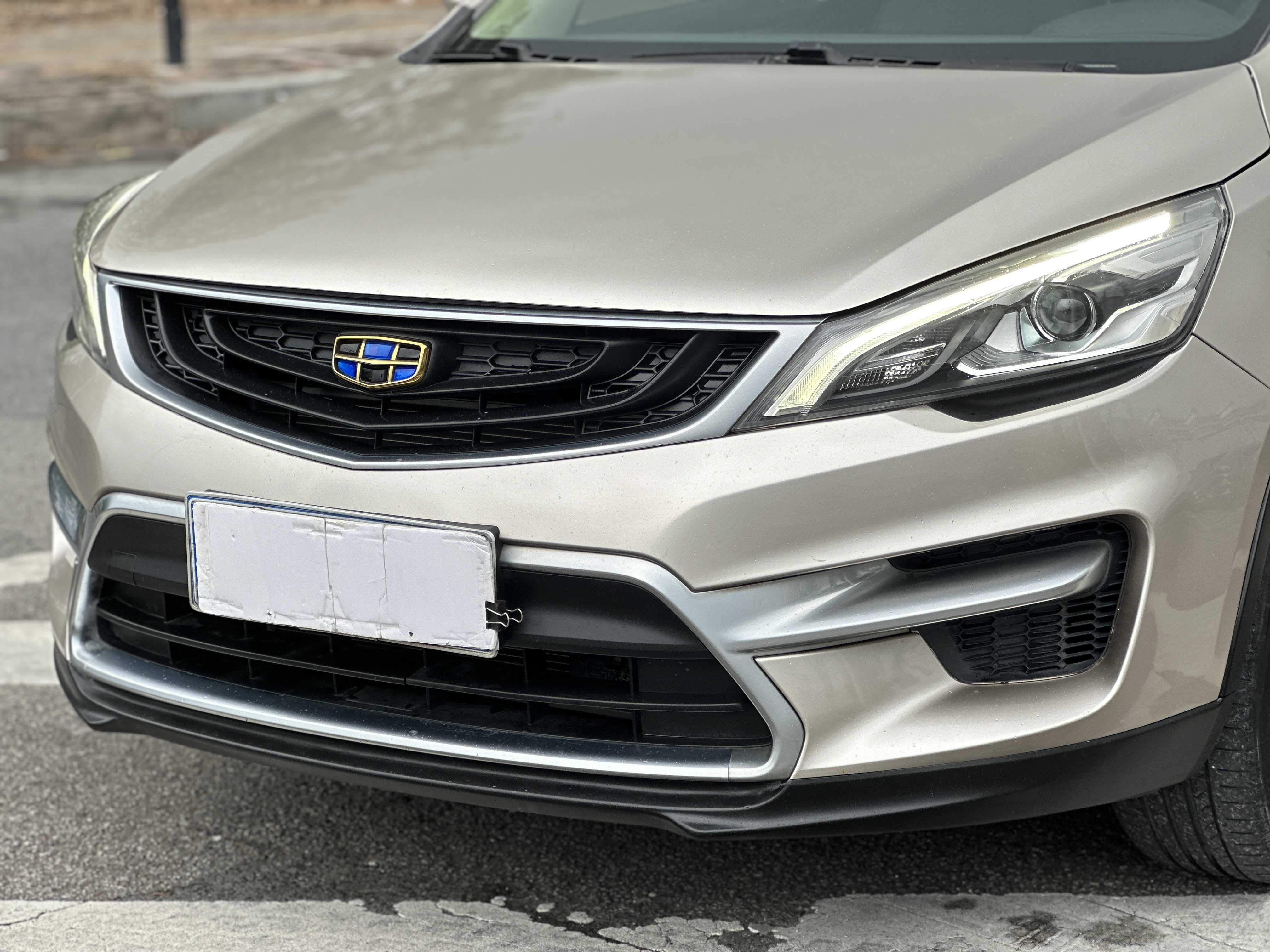 Emgrand GS 2019 #10 Emgrand GS 2019 car image #10