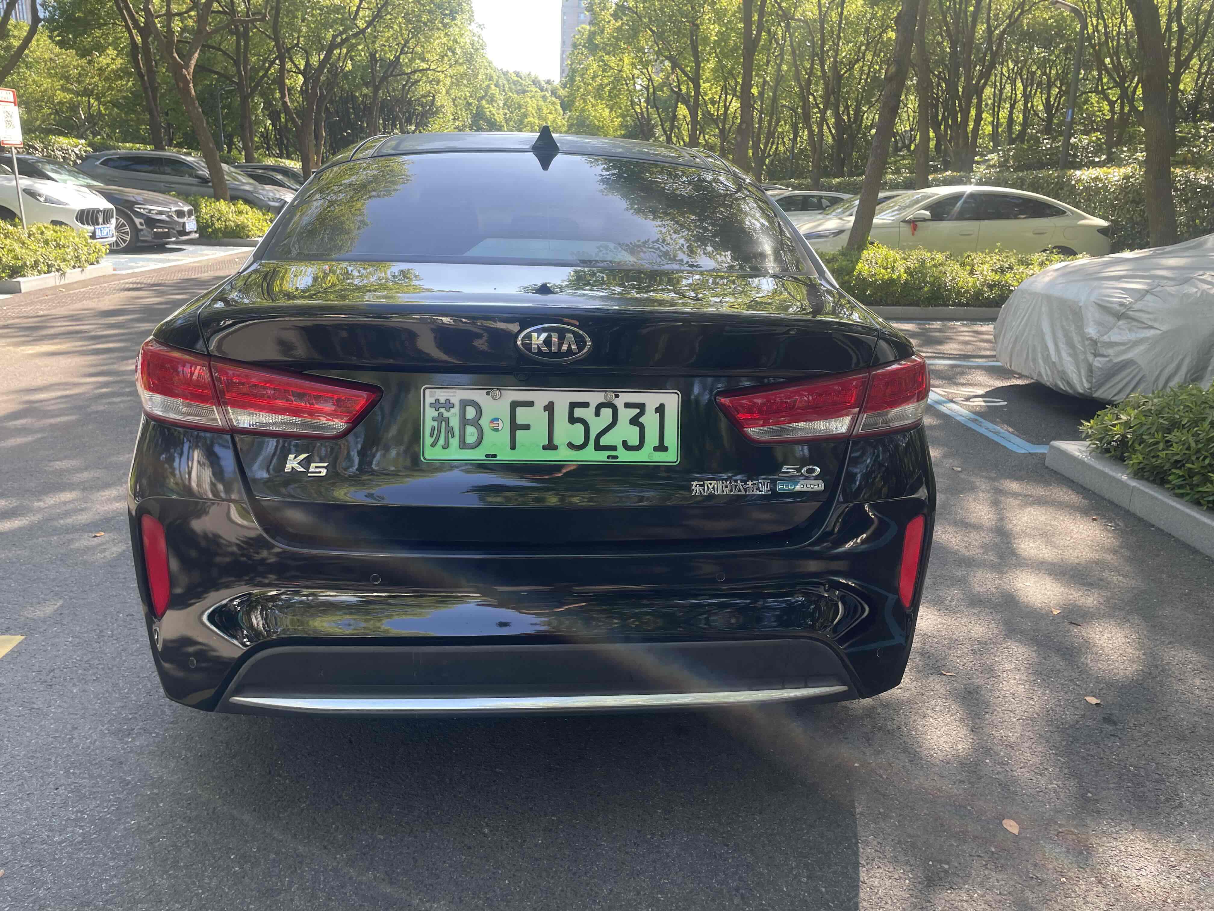 起亚 起亚K5新能源 2018 汽车图片 #10