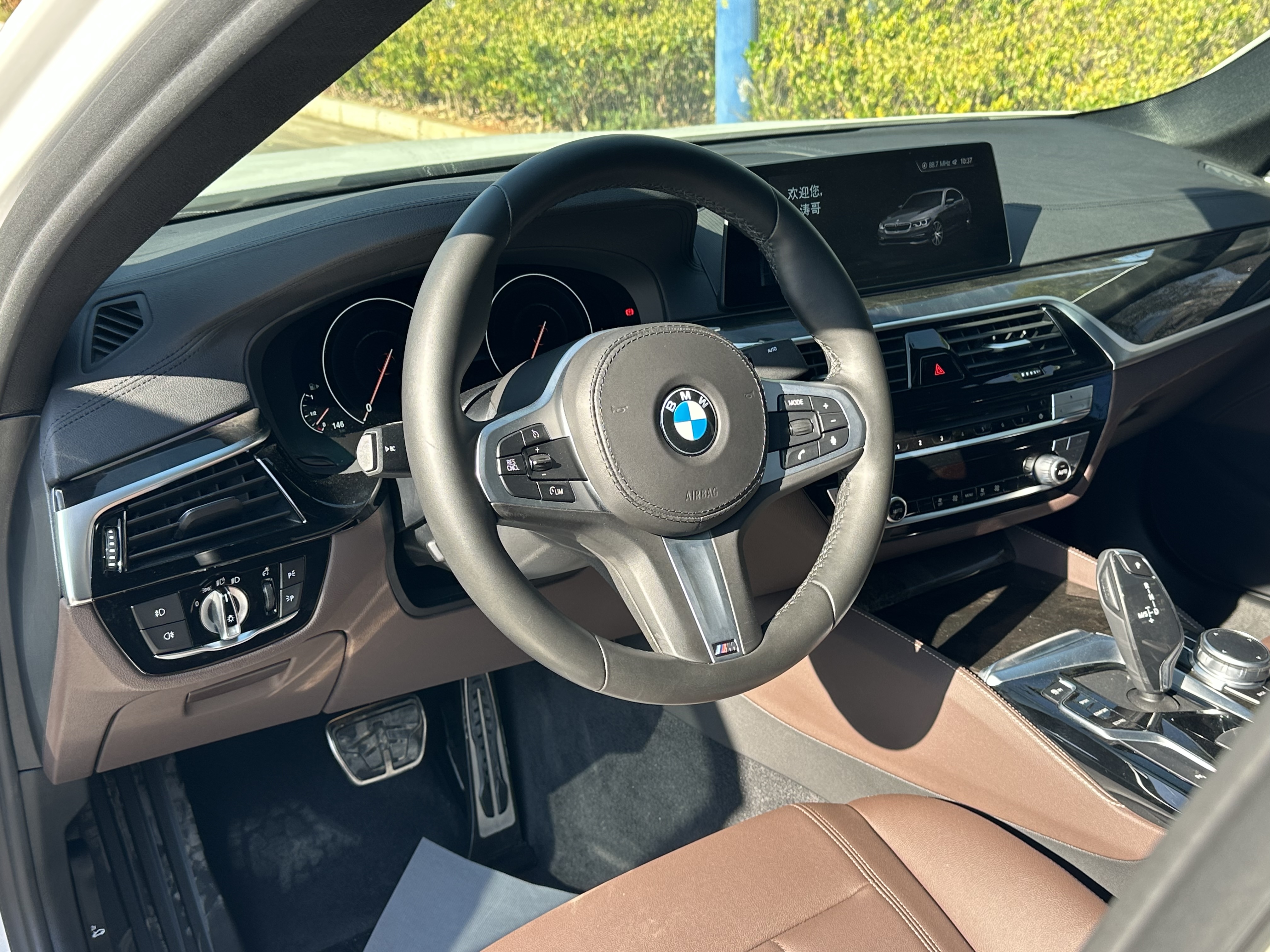BMW 5 Series 2019 car image #10