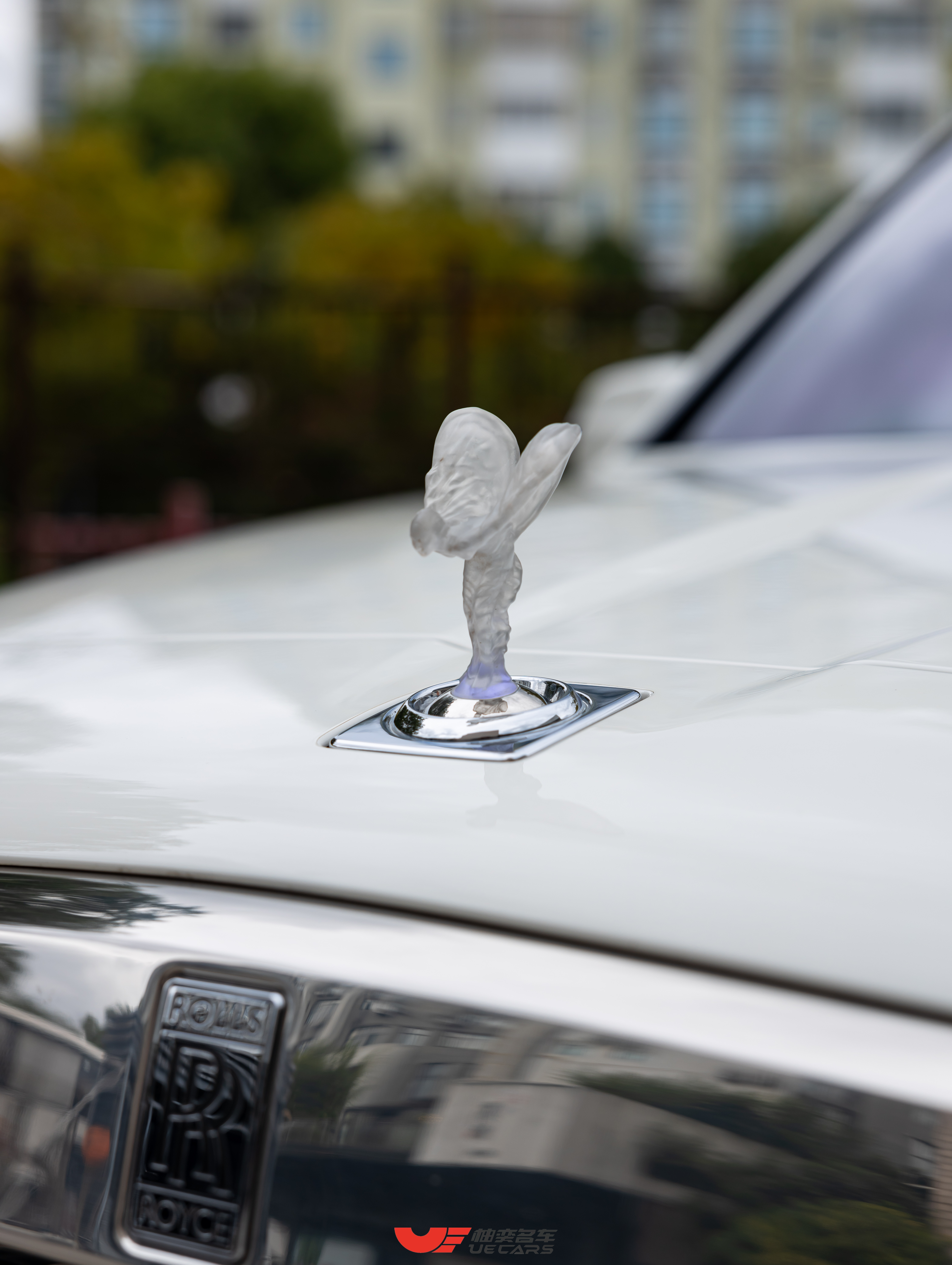 Rolls-Royce Cullinan 2021 immagine di auto #10