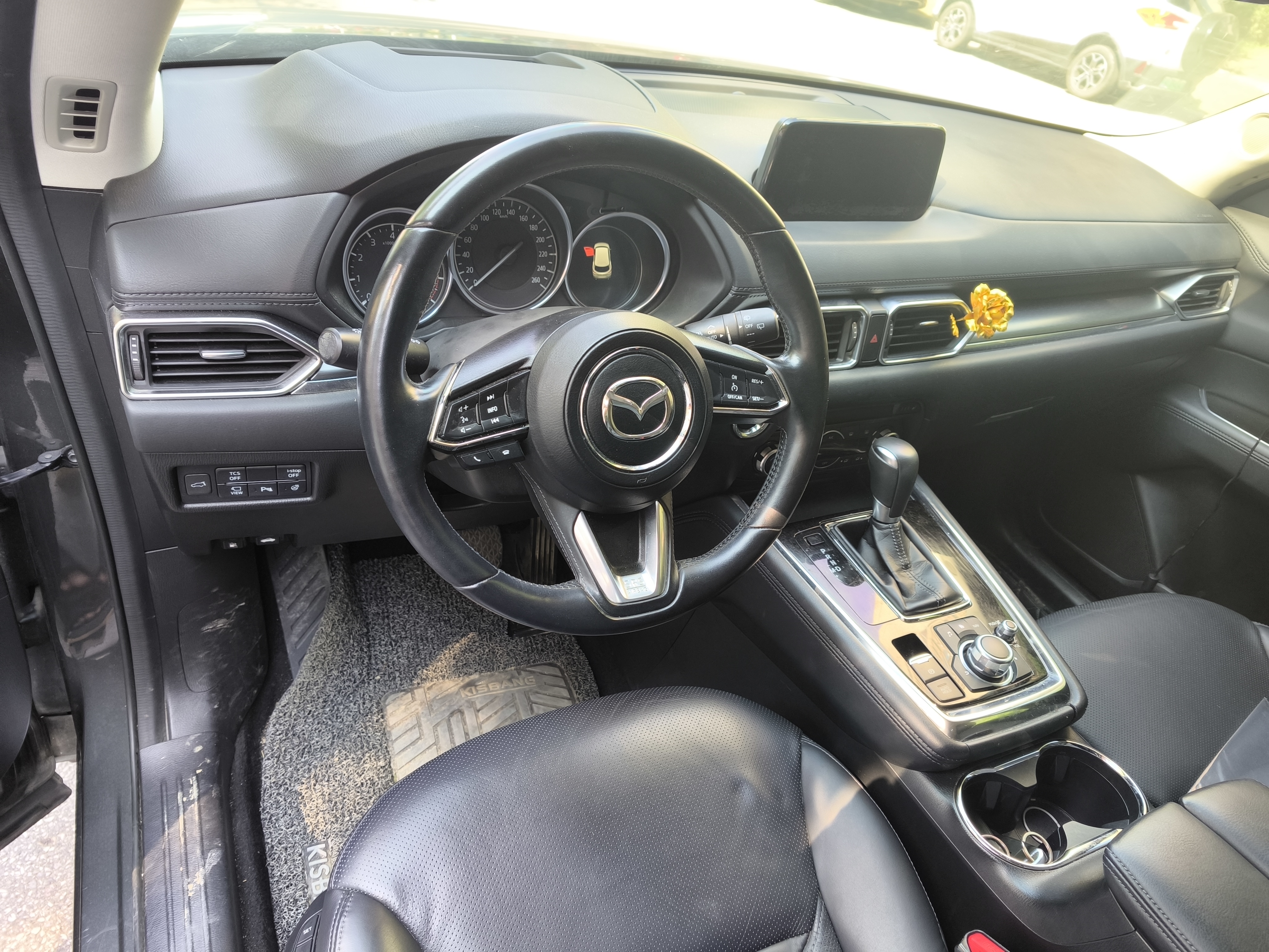 Mazda CX-8 2019 car image #10