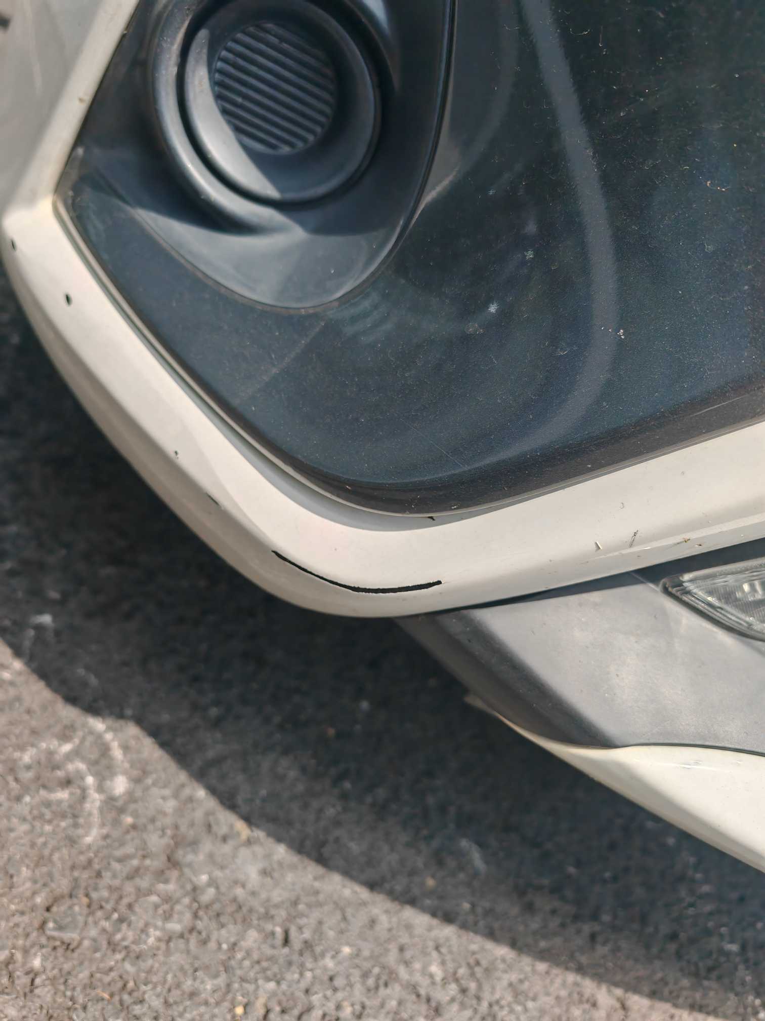 Yaris L Zhixuan 2019 car image #10