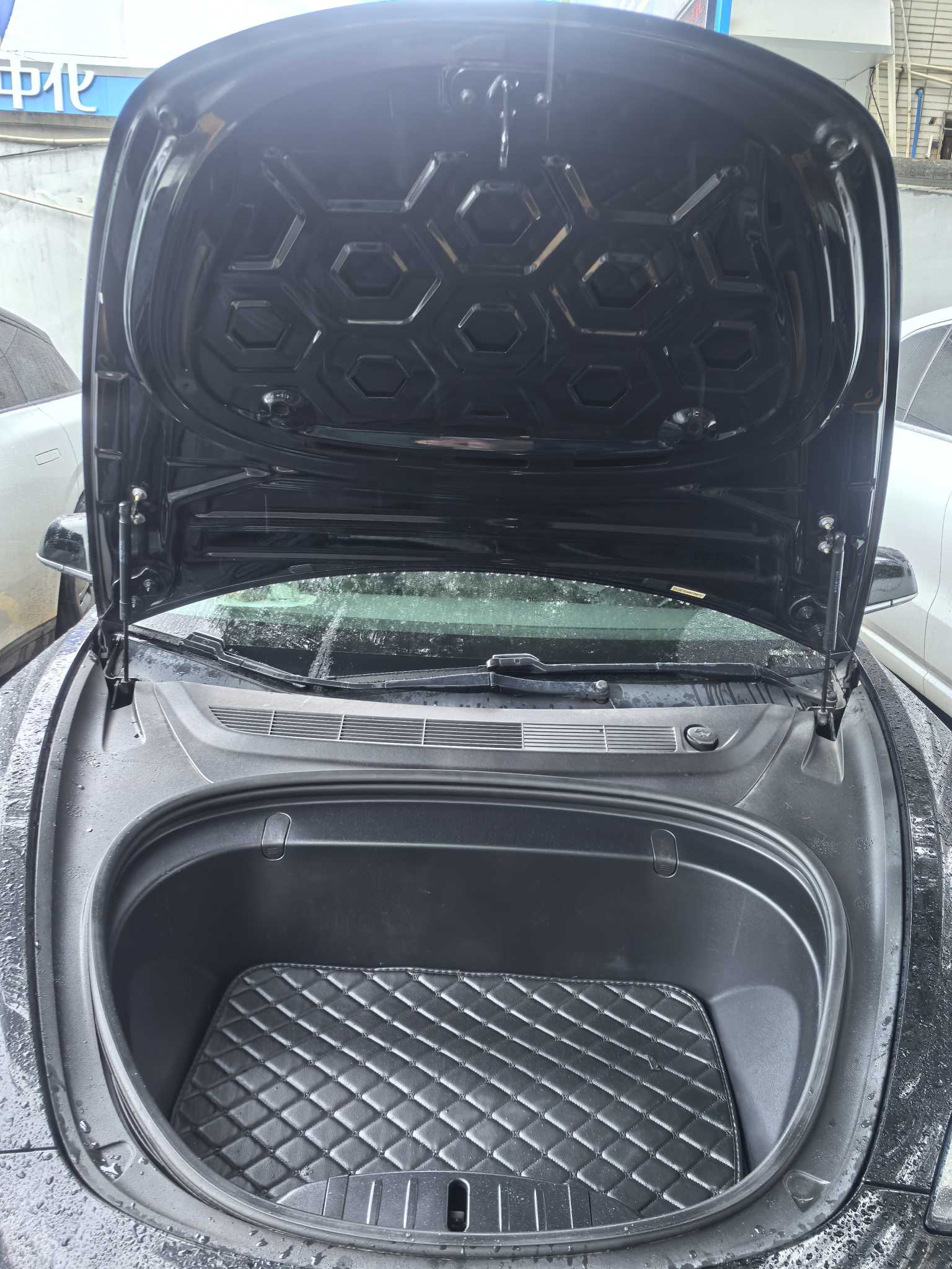 特斯拉 Model 3(进口) 2019 汽车图片 #10