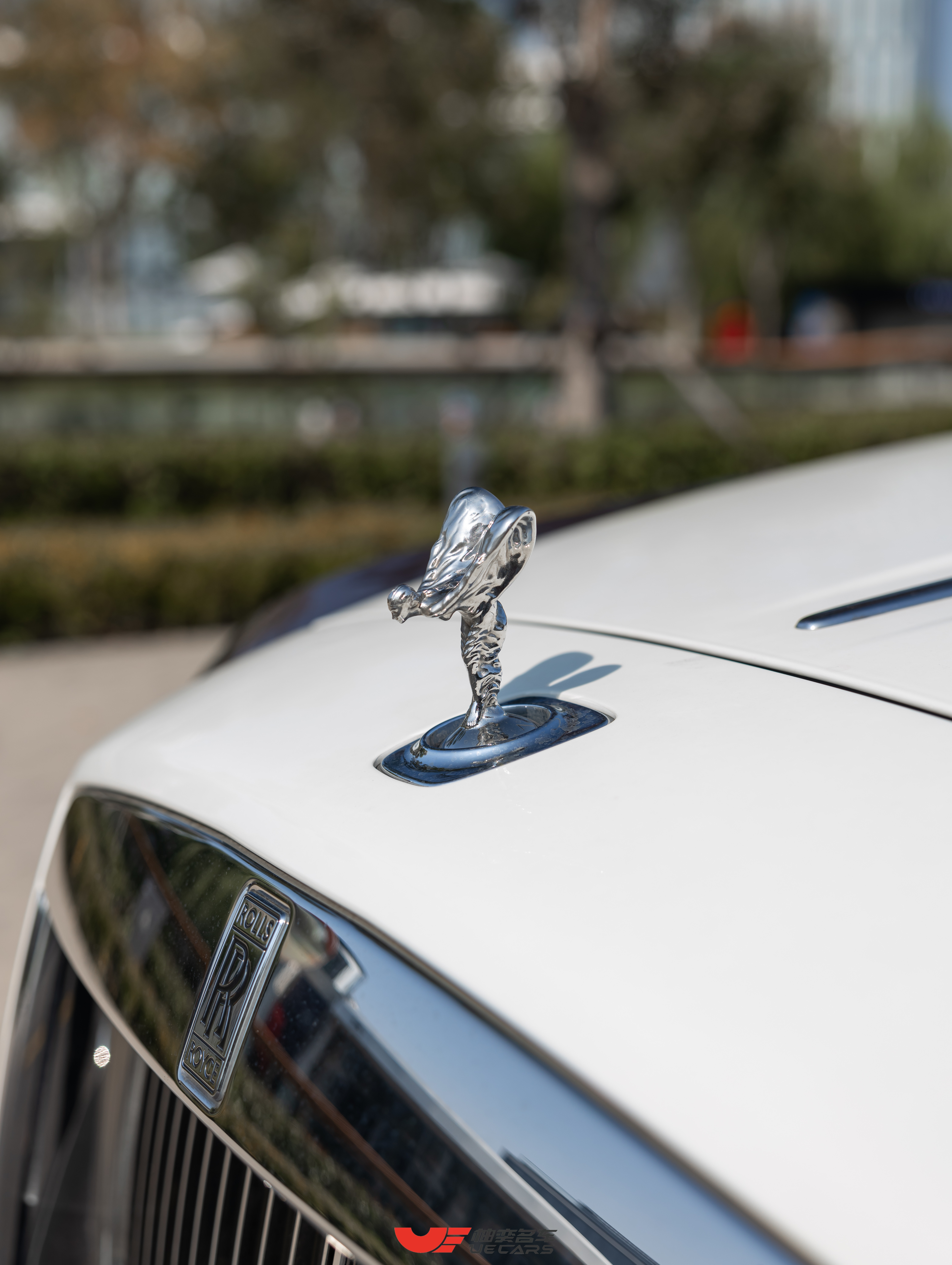 劳斯莱斯 魅影 2018 汽车图片 #10