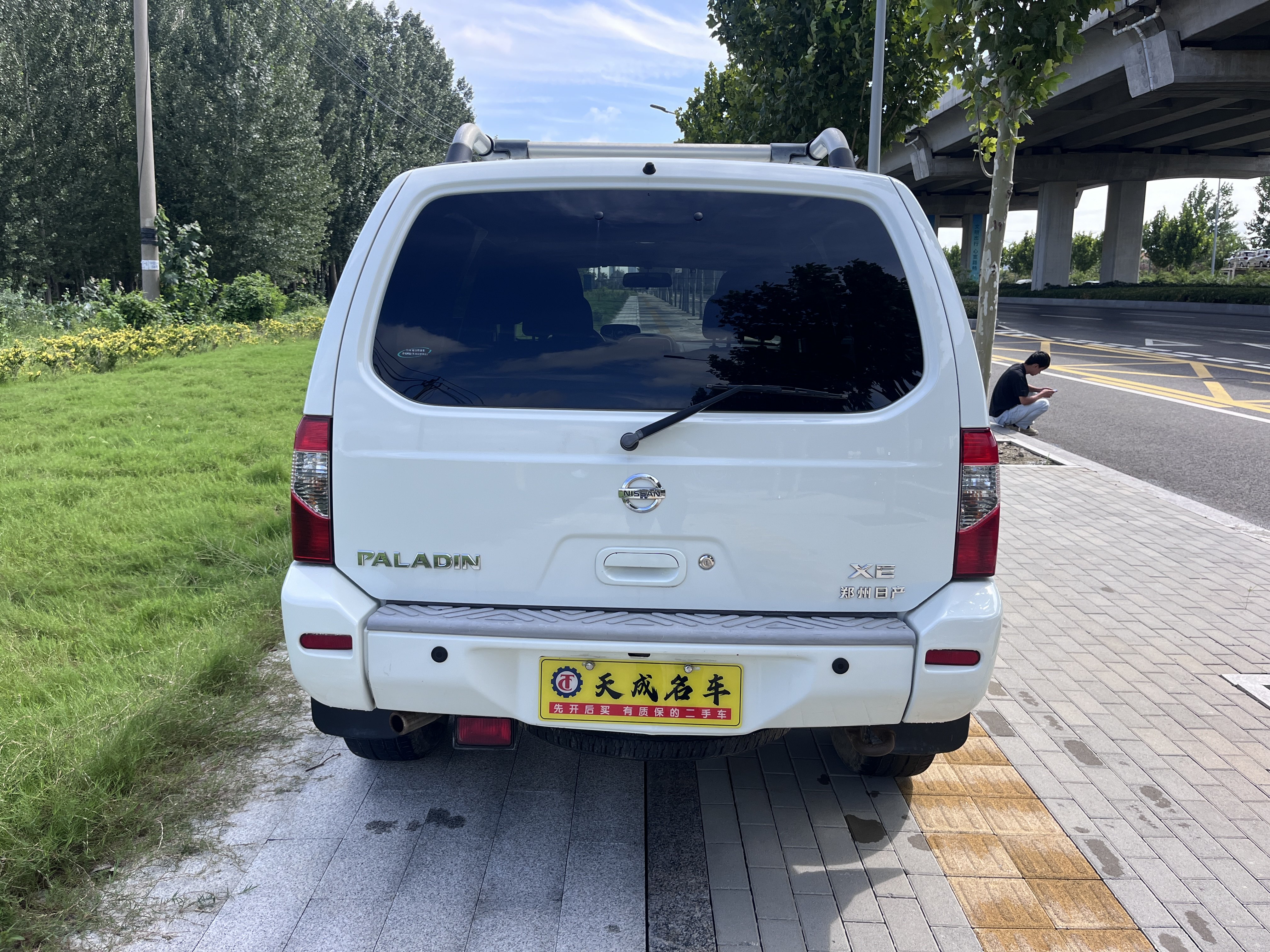 日产 日产帕拉丁 2009 汽车图片 #10