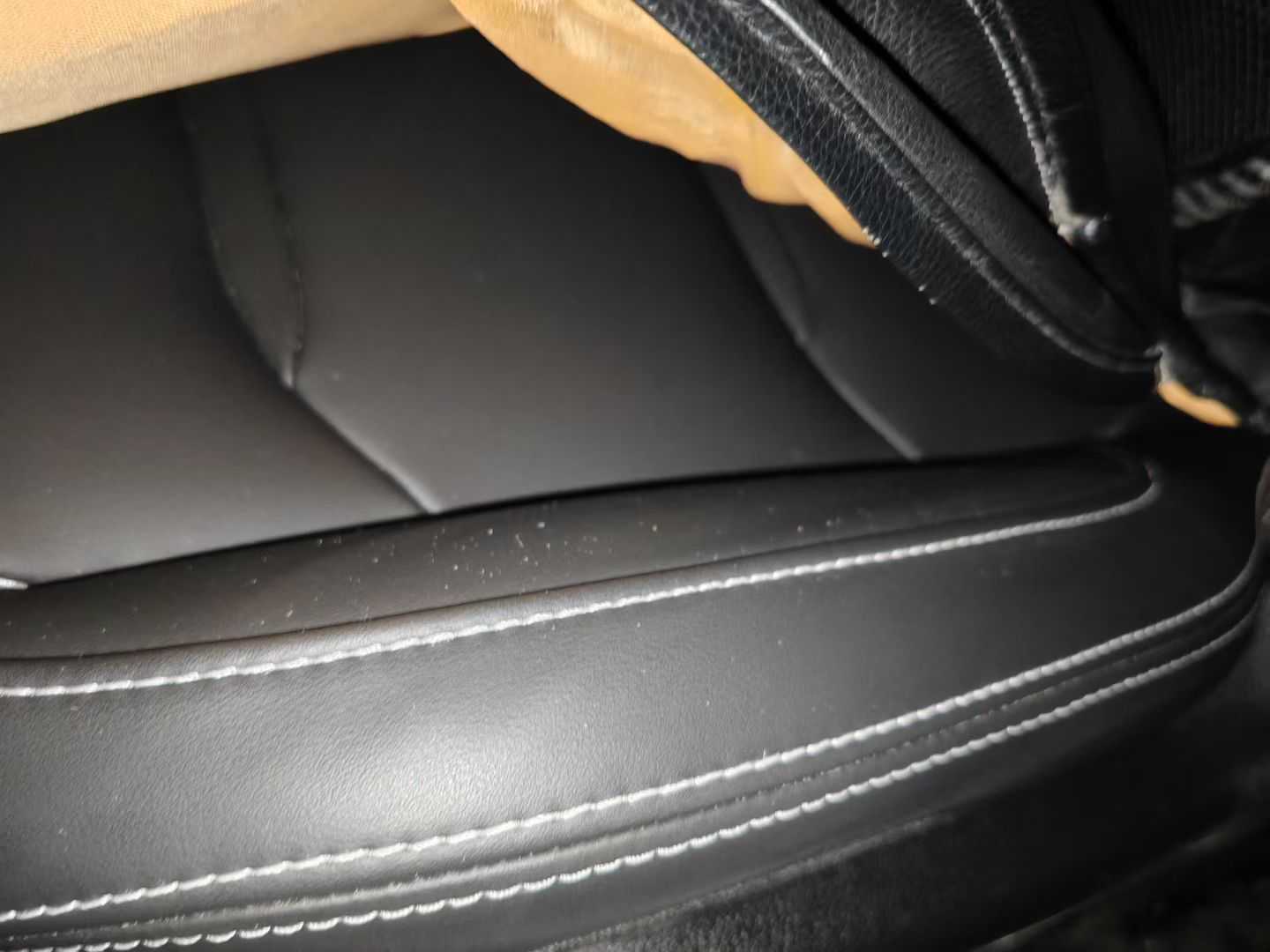 GEELY Tugella New Energy 2020 car image #10