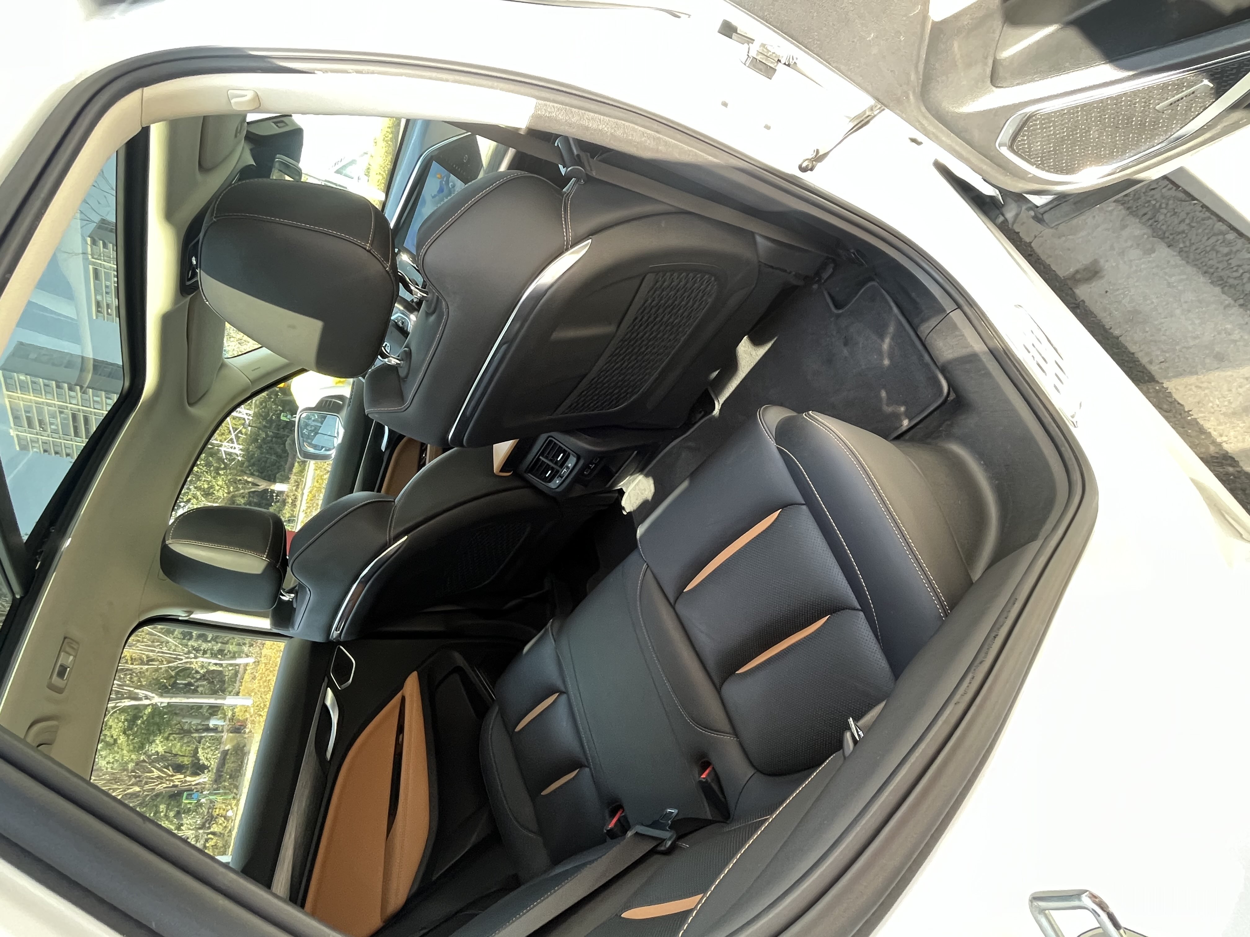 GEELY Tugella New Energy 2019 car image #10