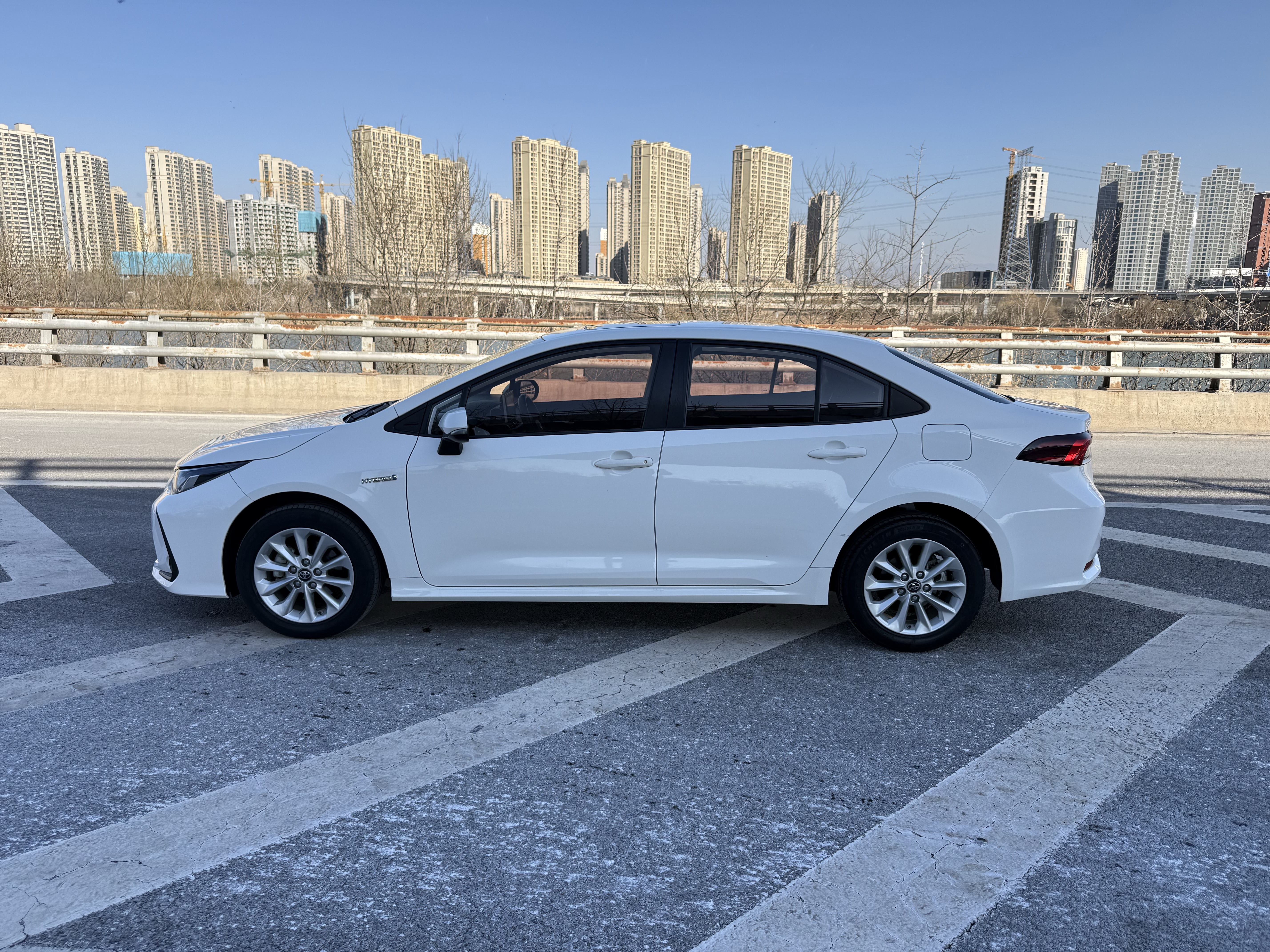 Corolla 2020 car image #10