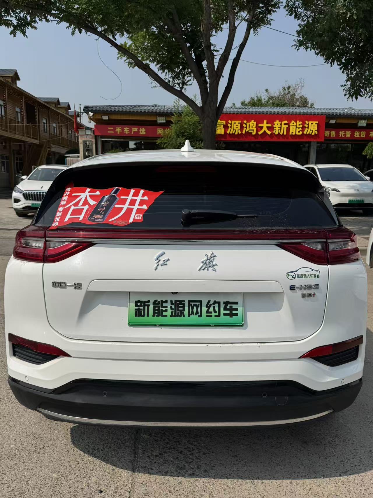 HongQi E-HS3 2020 car image #10
