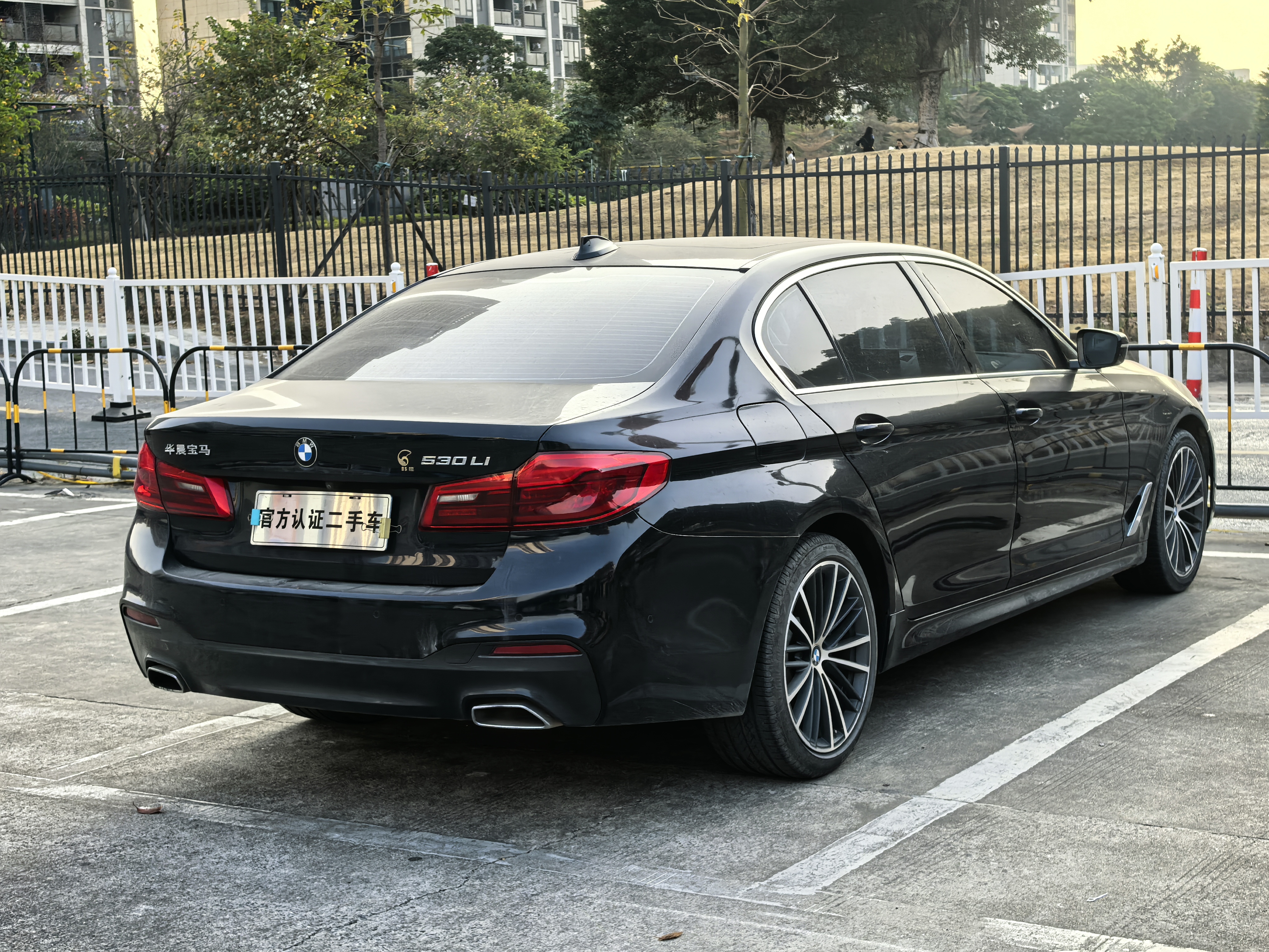 BMW 5 Series 2020 car image #10