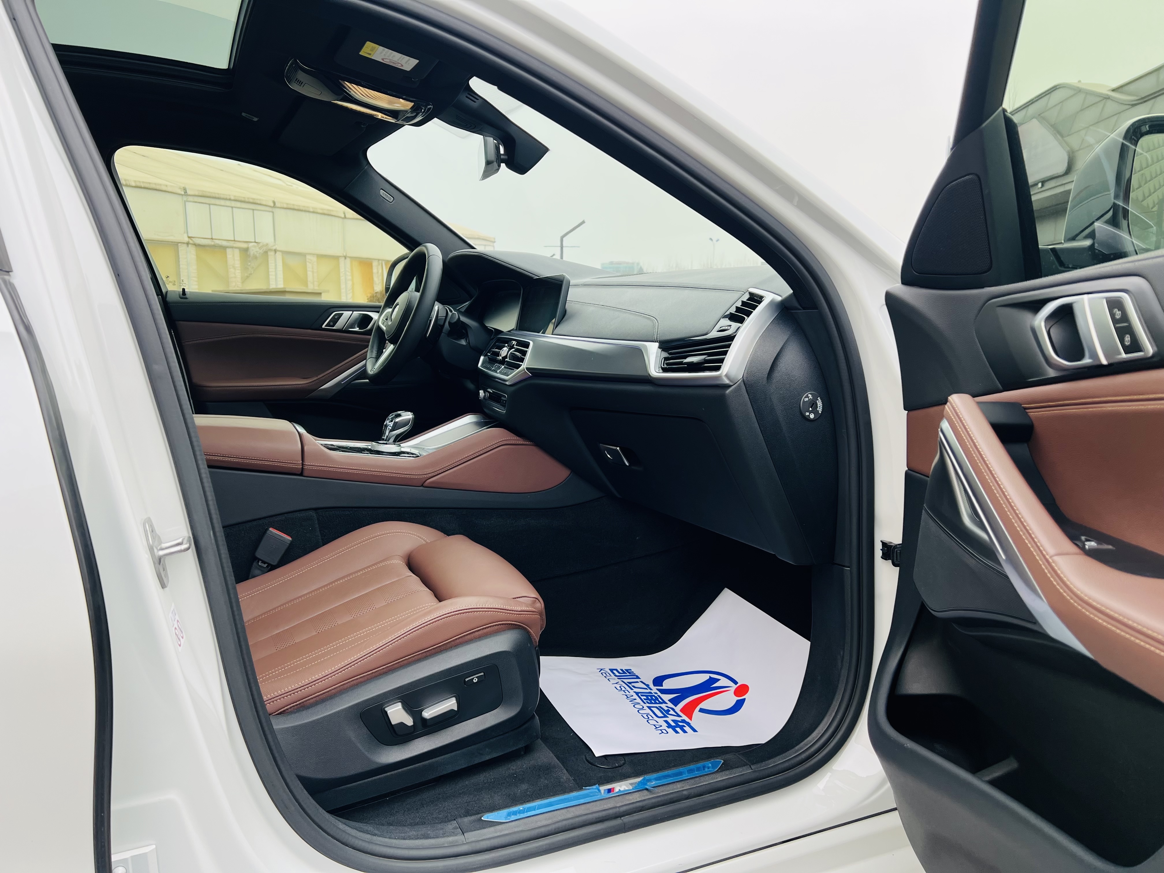 BMW X6 2020 car image #10