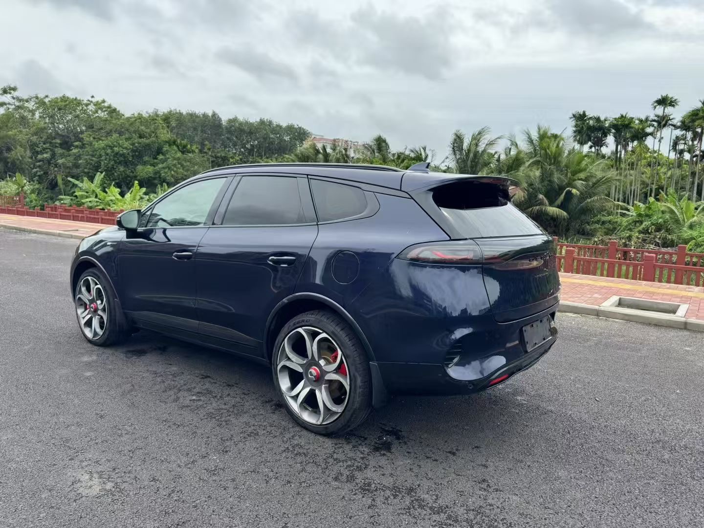 Denza N8L 2020 car image #10