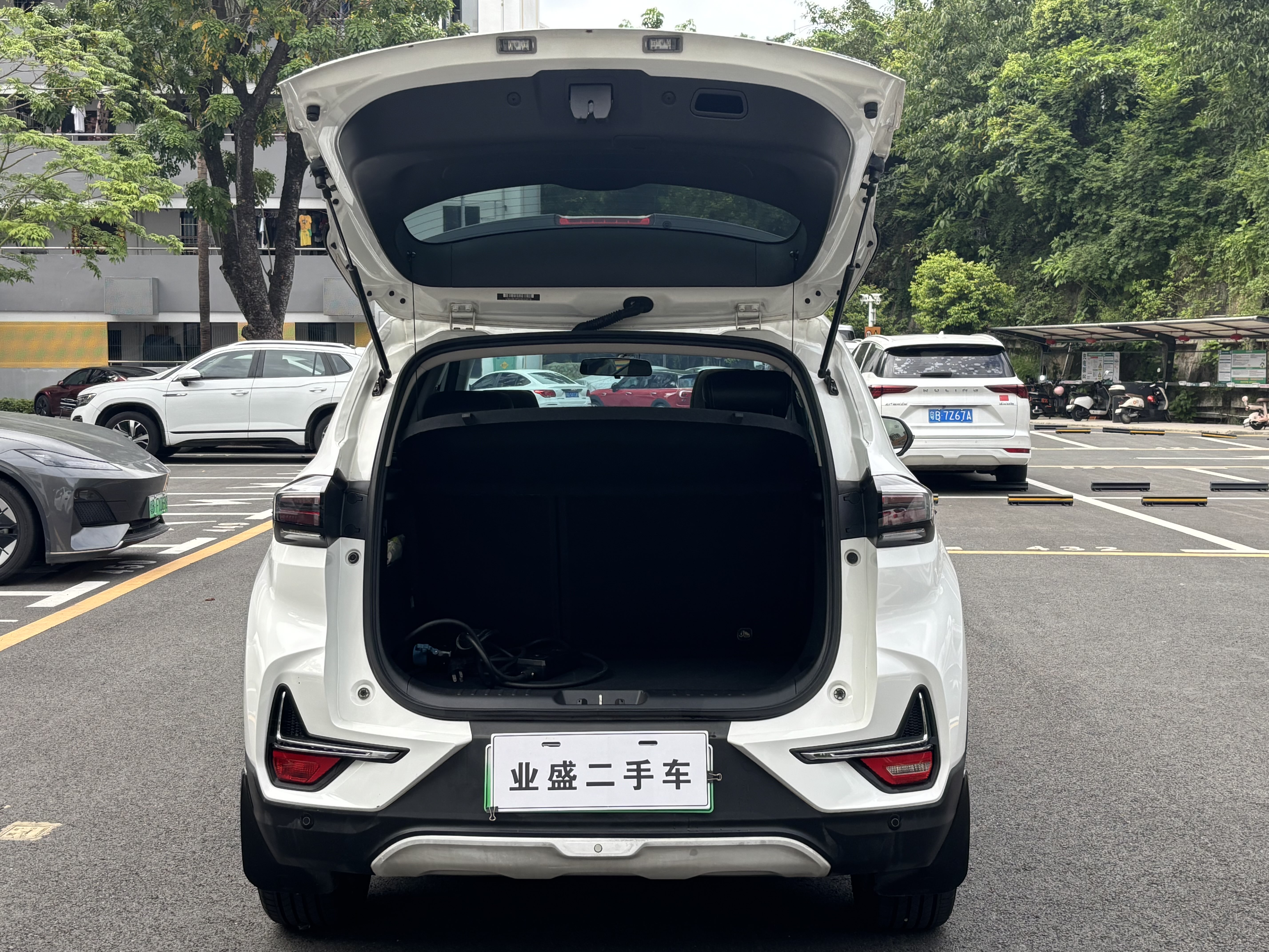 Changan E-Pro New Energy 2020 car image #10