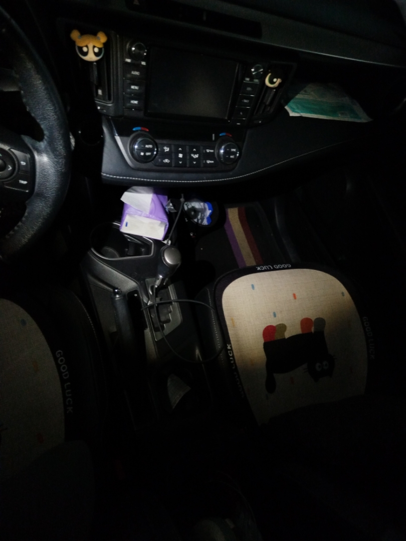 Toyota RAV4 2016 car image #10