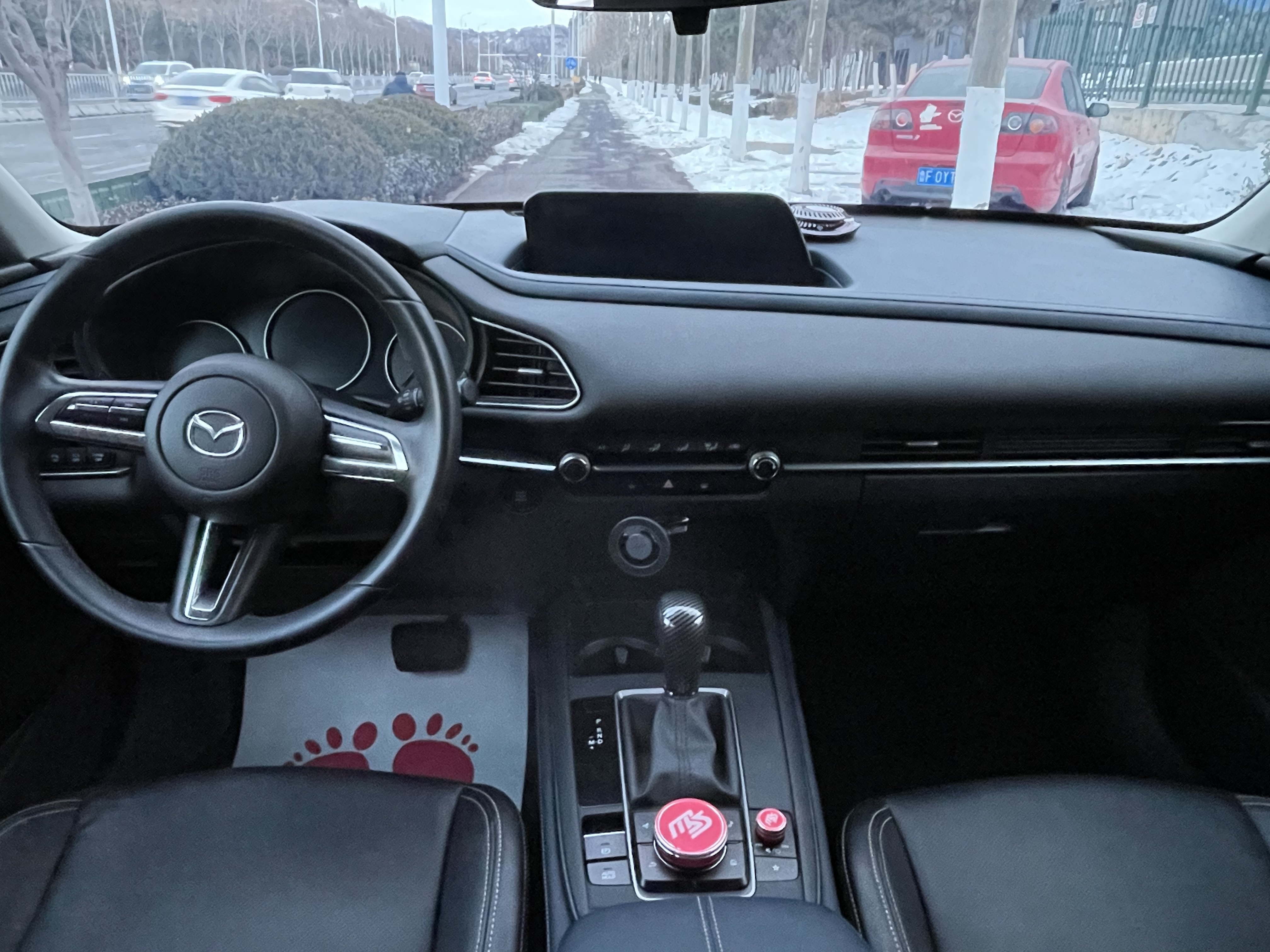 Mazda CX-30 2020 car image #10