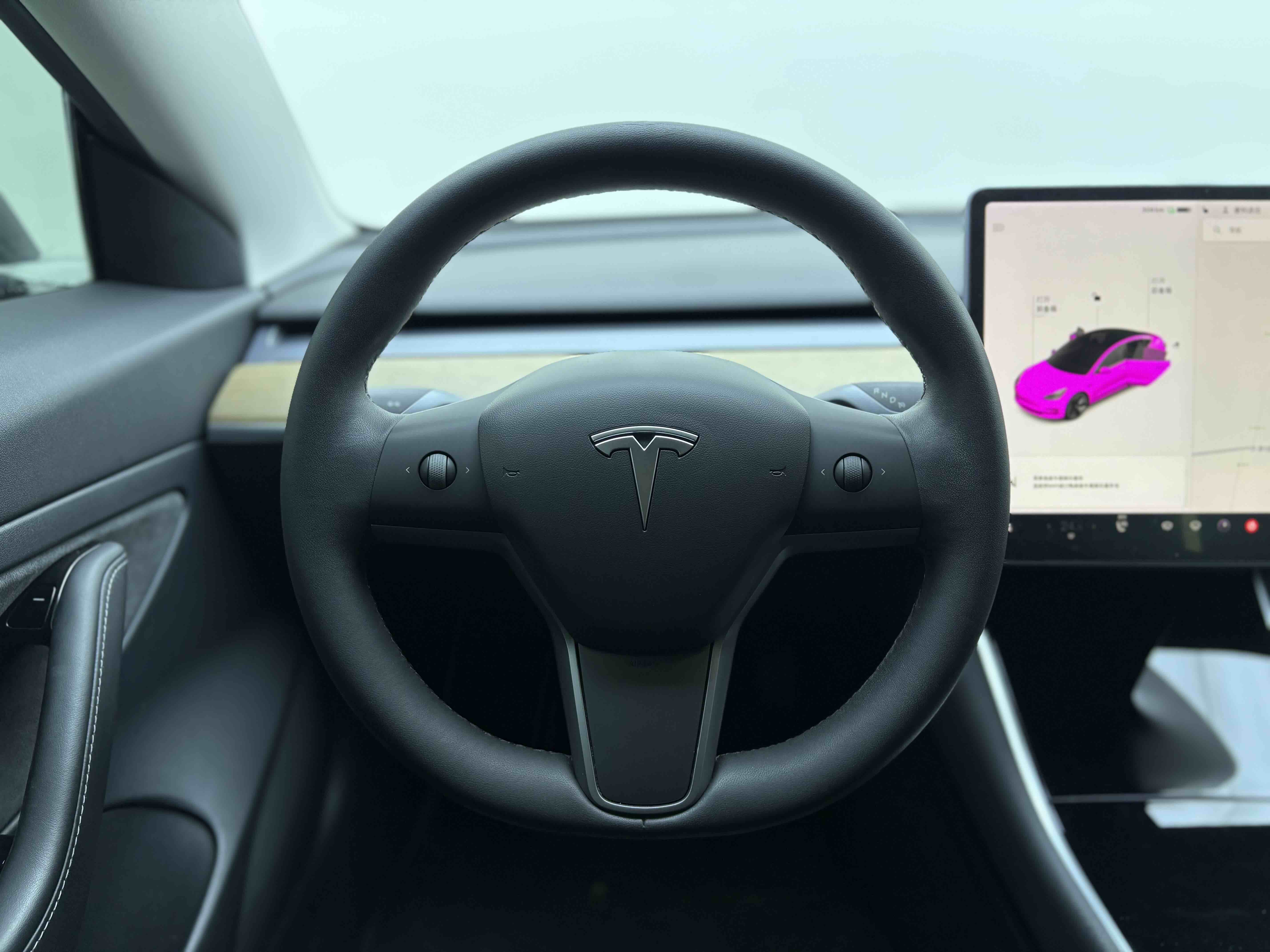 Tesla Model 3 2021 #10 Tesla Model 3 2021 car image #10