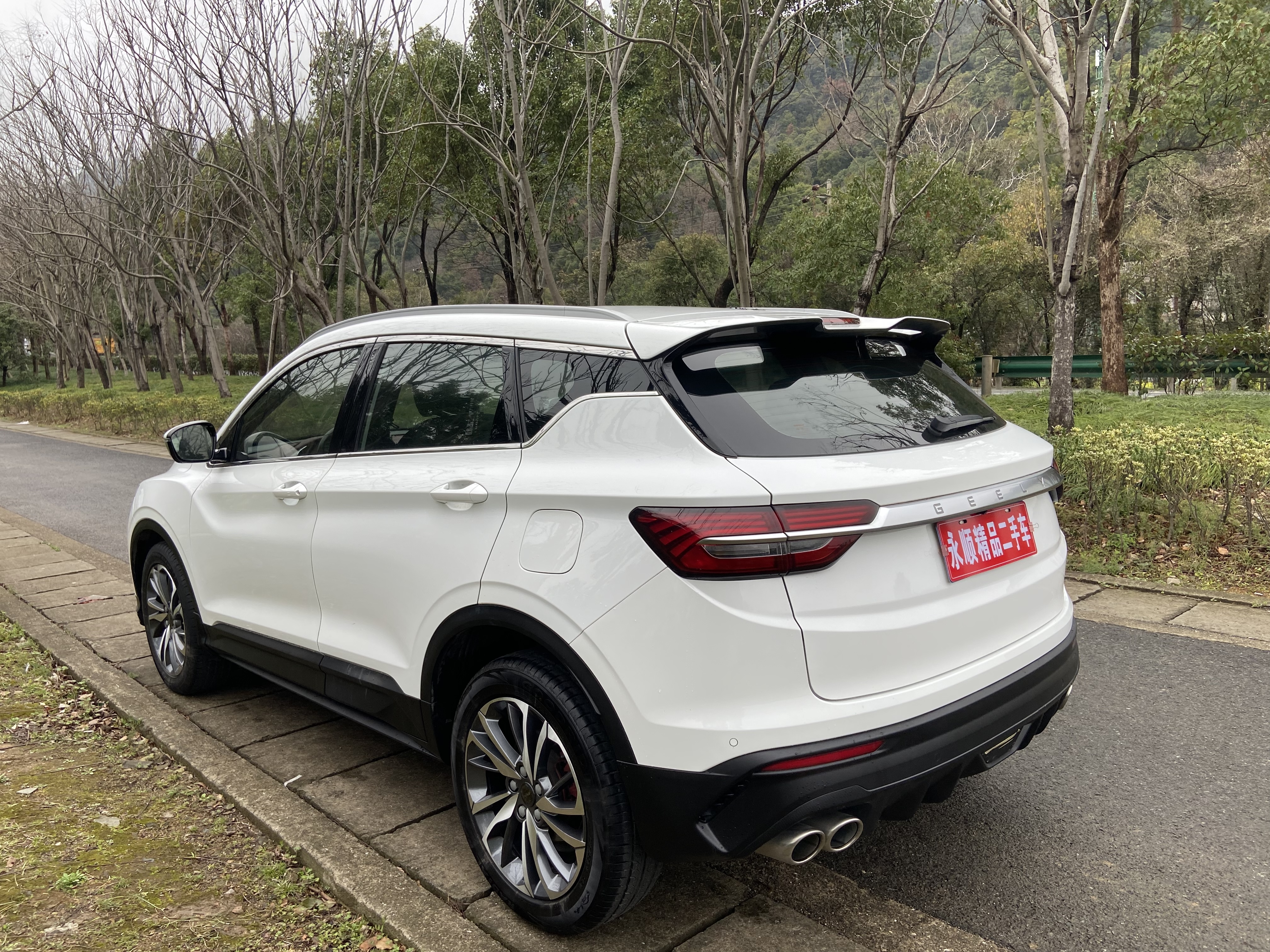 GEELY Coolray 2020 car image #10