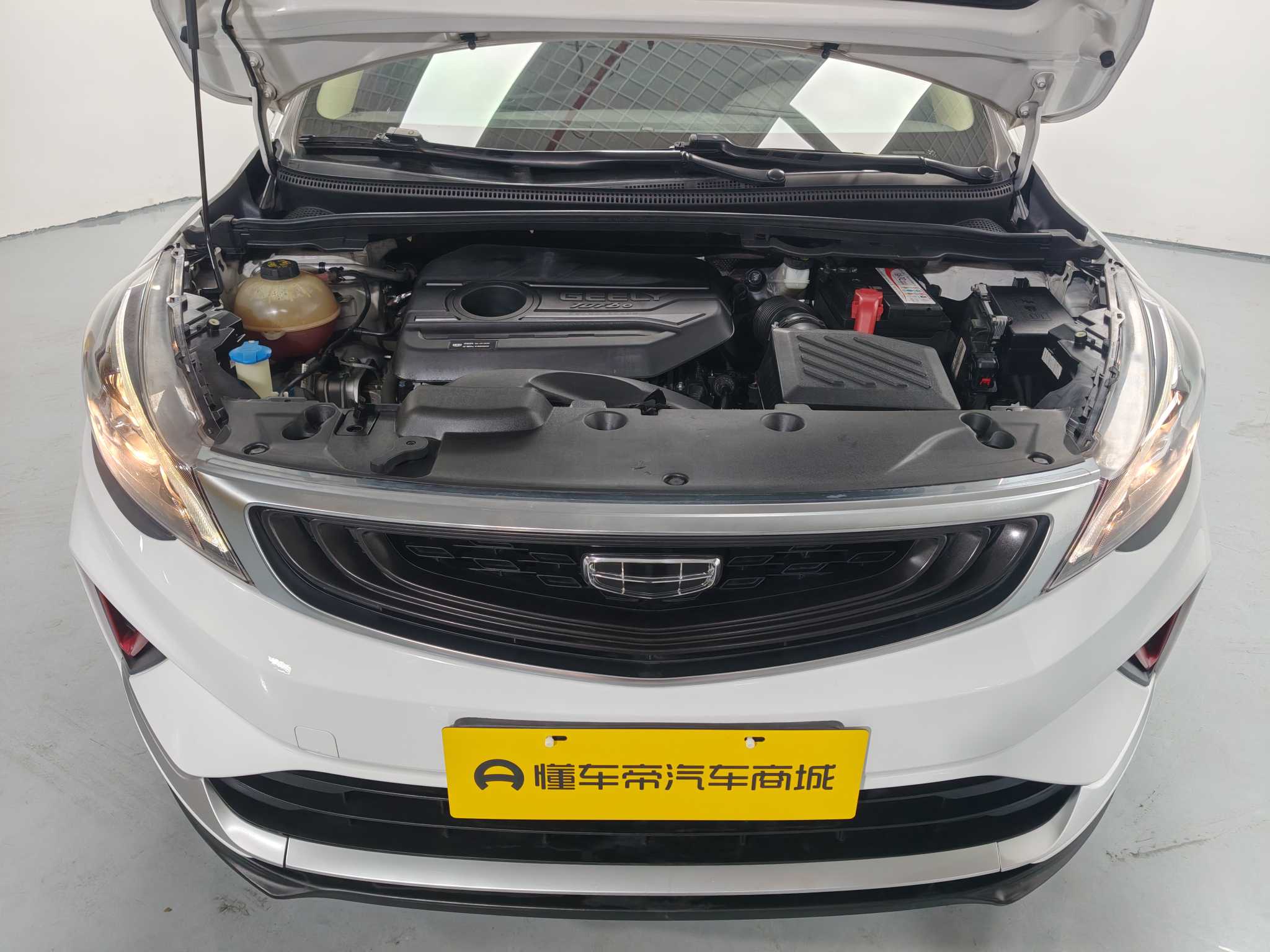 GEELY Emgrand GS 2021 #10 GEELY Emgrand GS 2021 car image #10