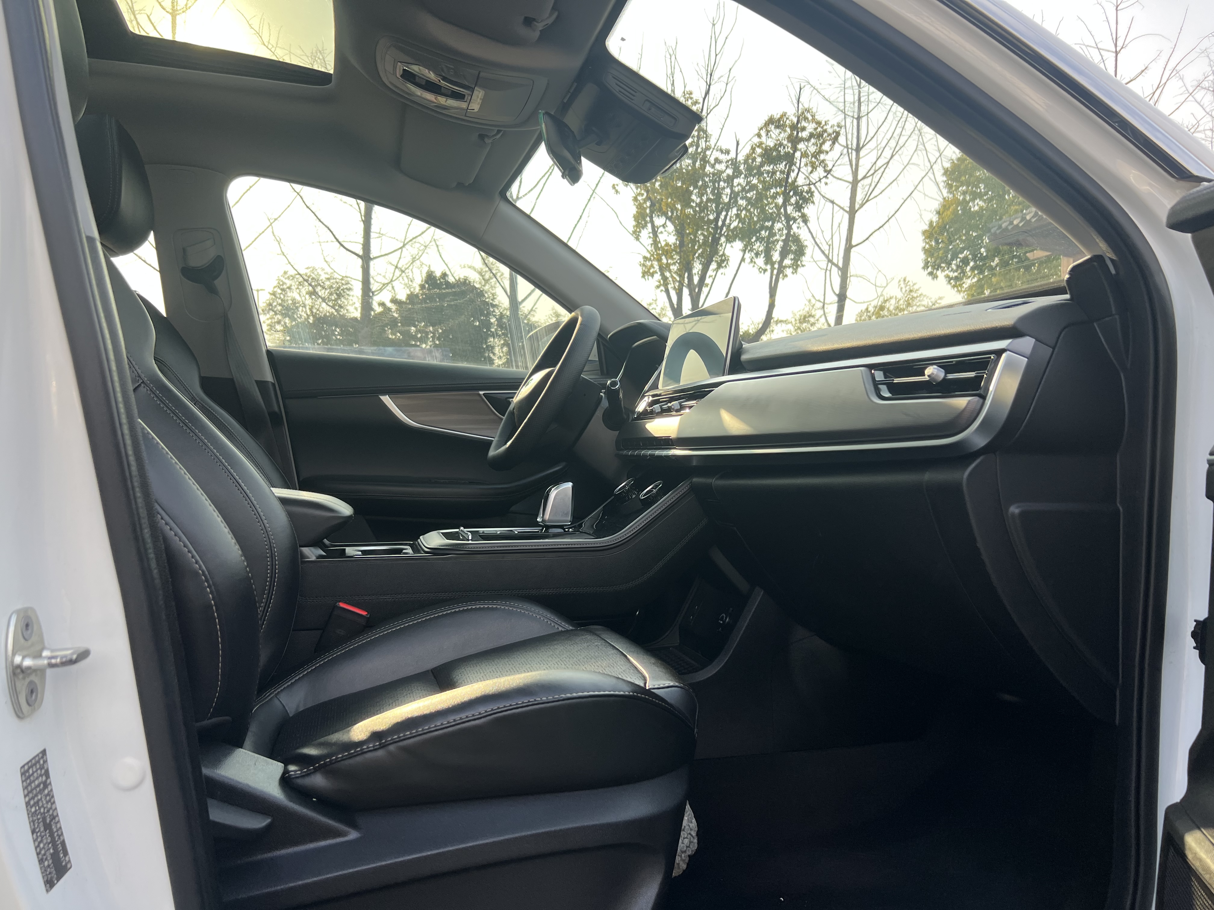 Tiggo 8 2020 car image #10