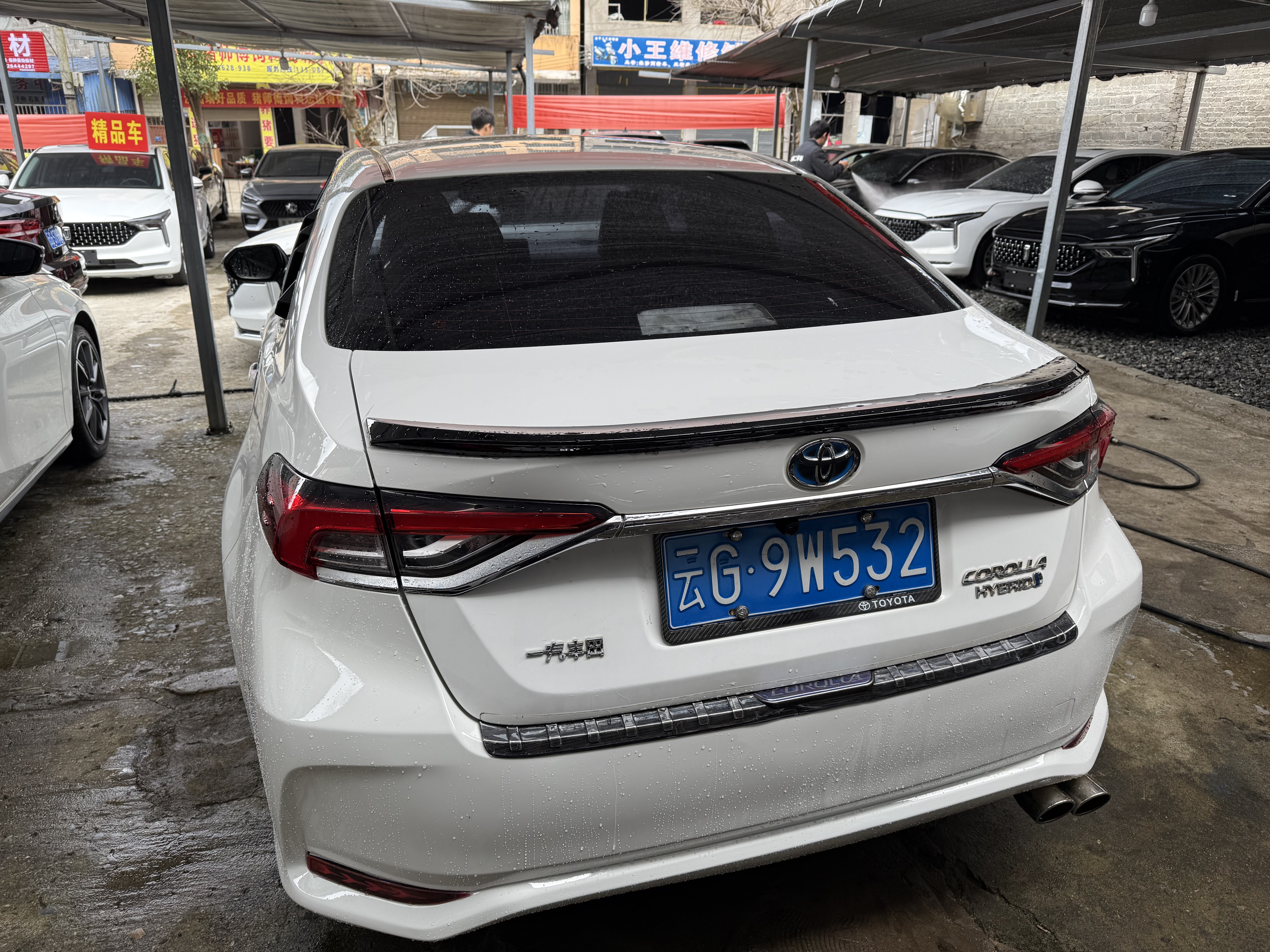 Corolla 2020 car image #10