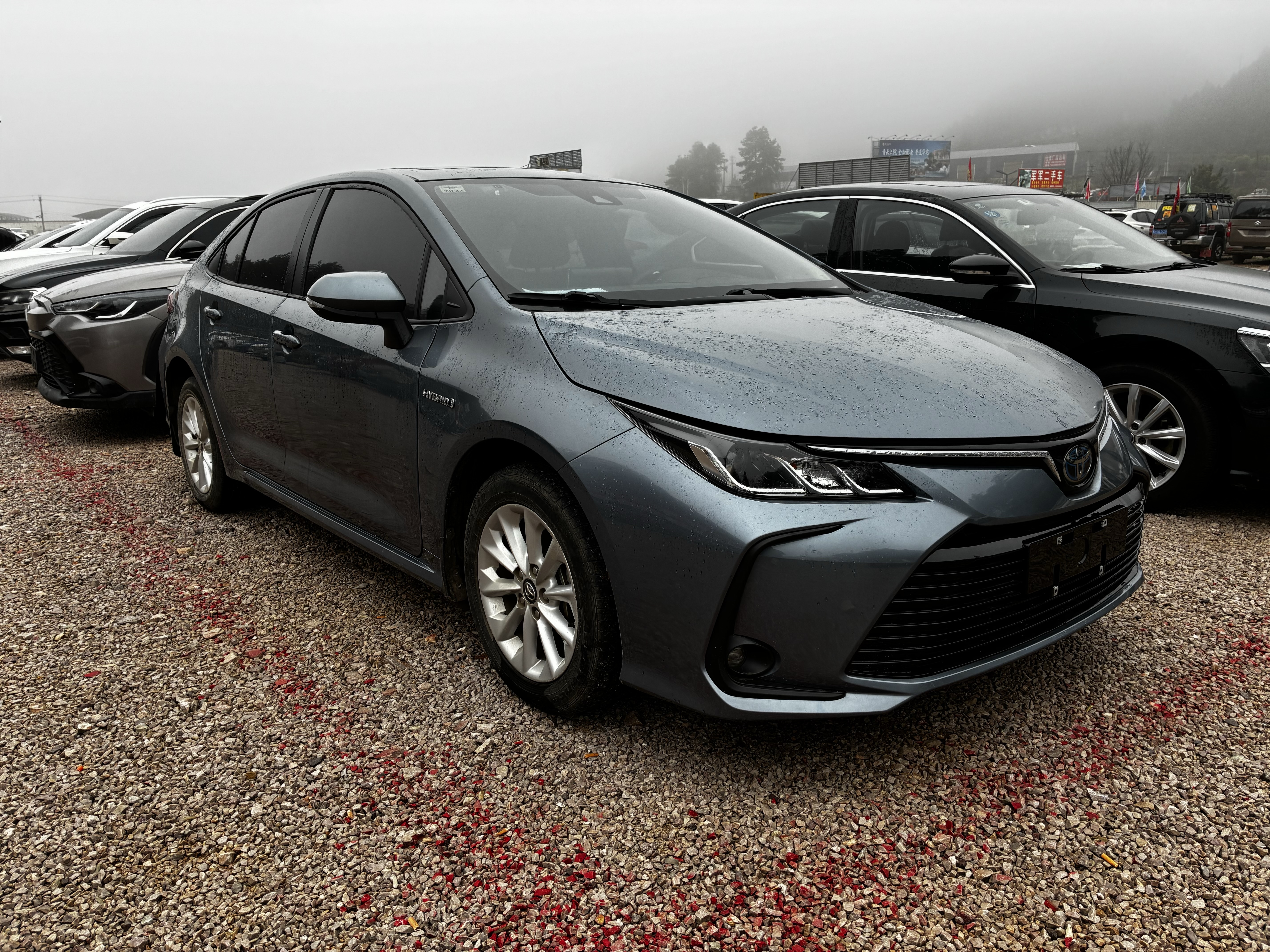Corolla 2021 #10 Corolla 2021 car image #10