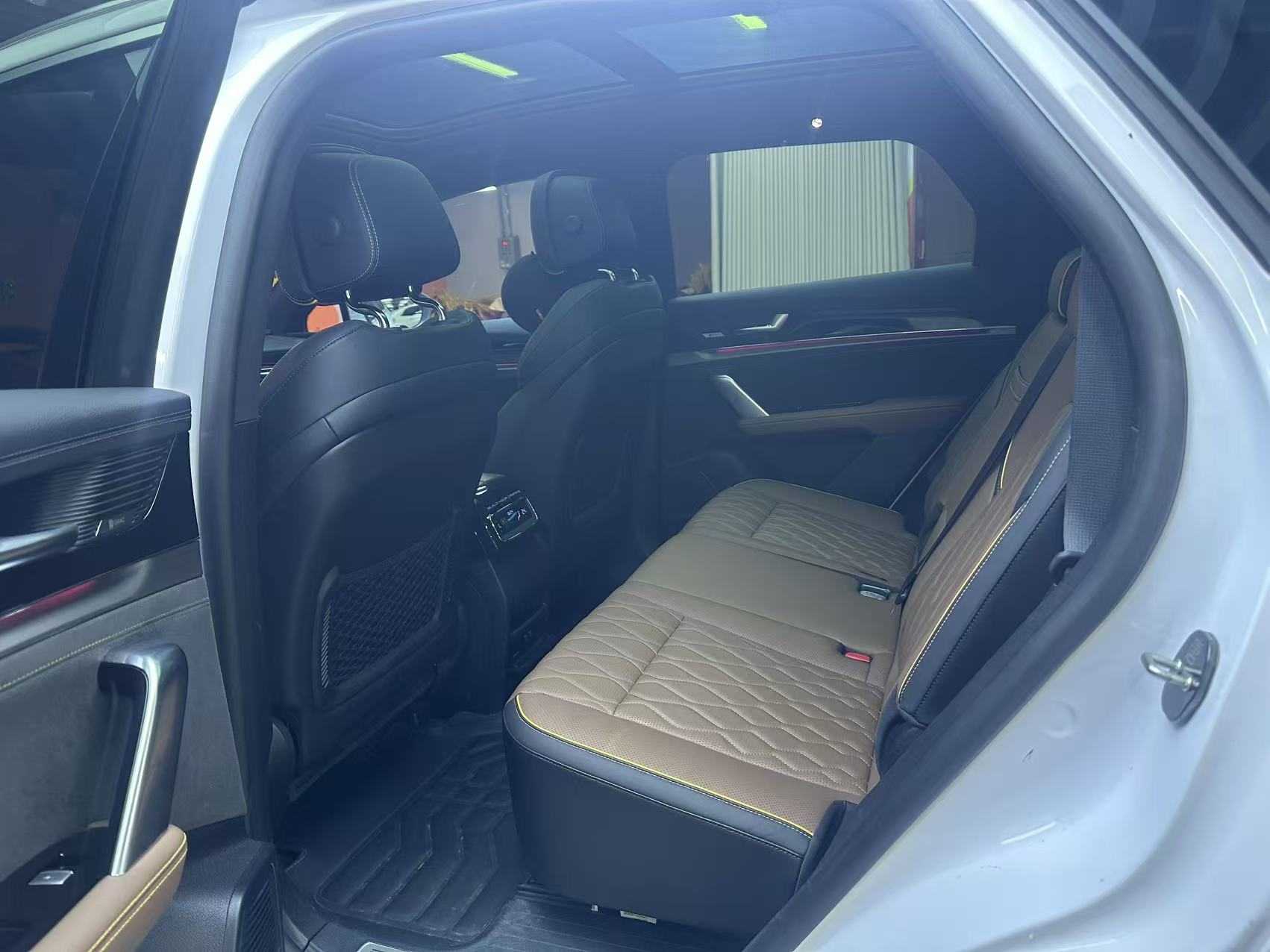 BYD Tang New Energy 2021 car image #10